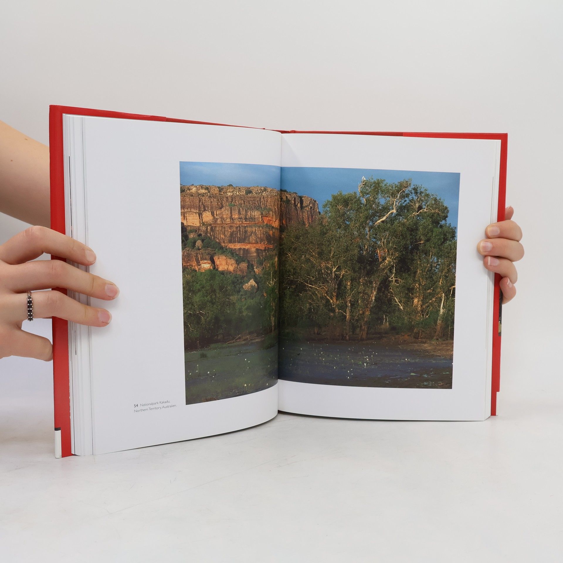 Nigel Spivey Wie Kunst die Welt erschuf