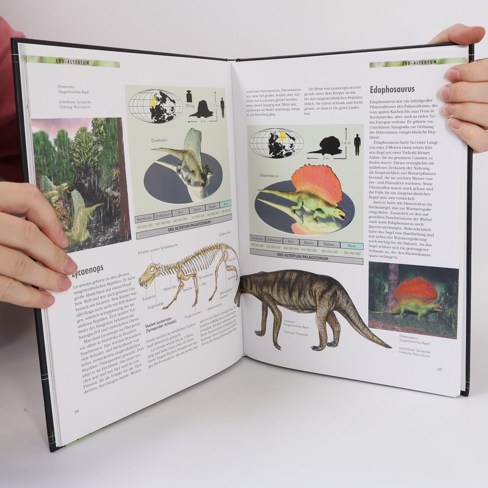 Autorenkollektiv Dinosaurier