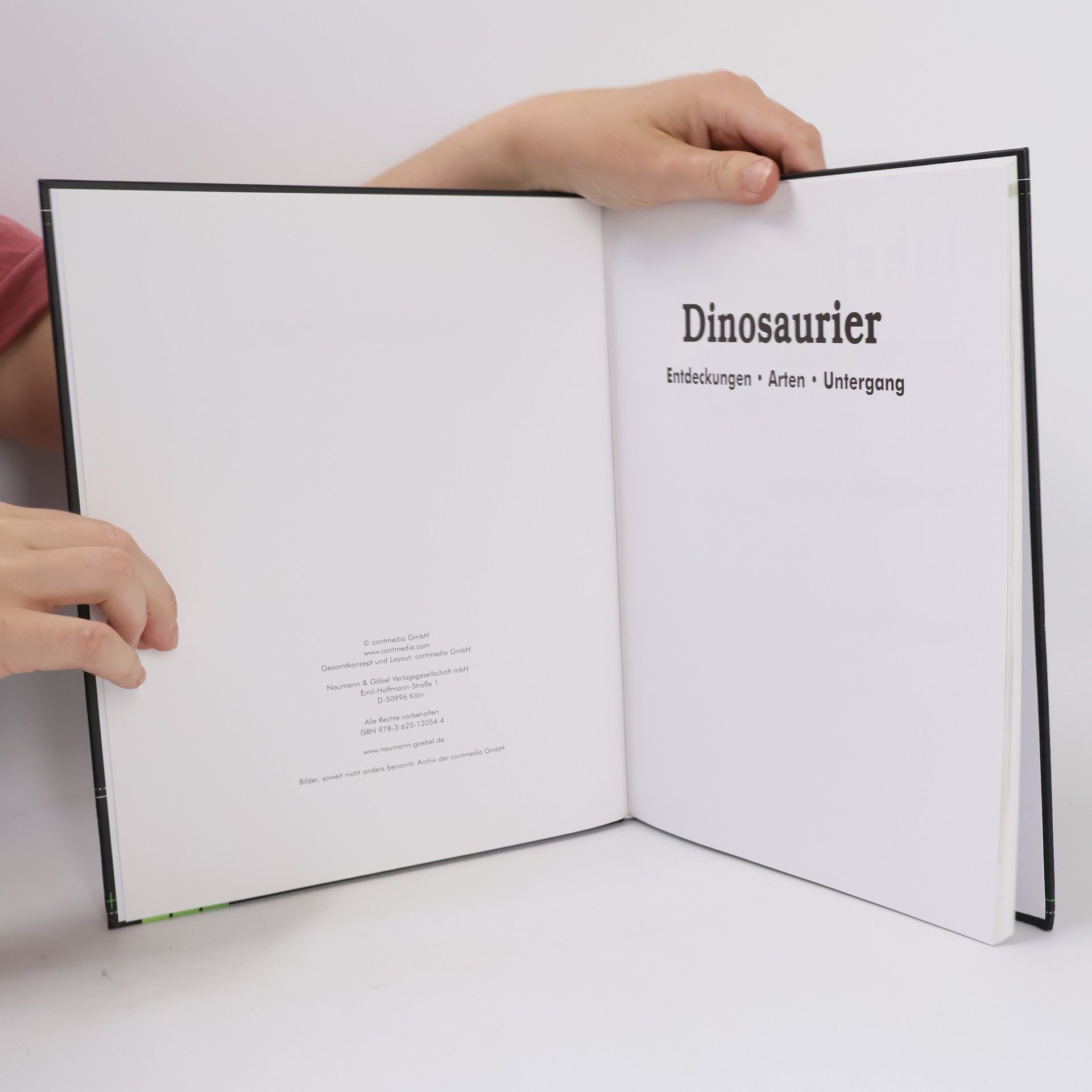 Autorenkollektiv Dinosaurier