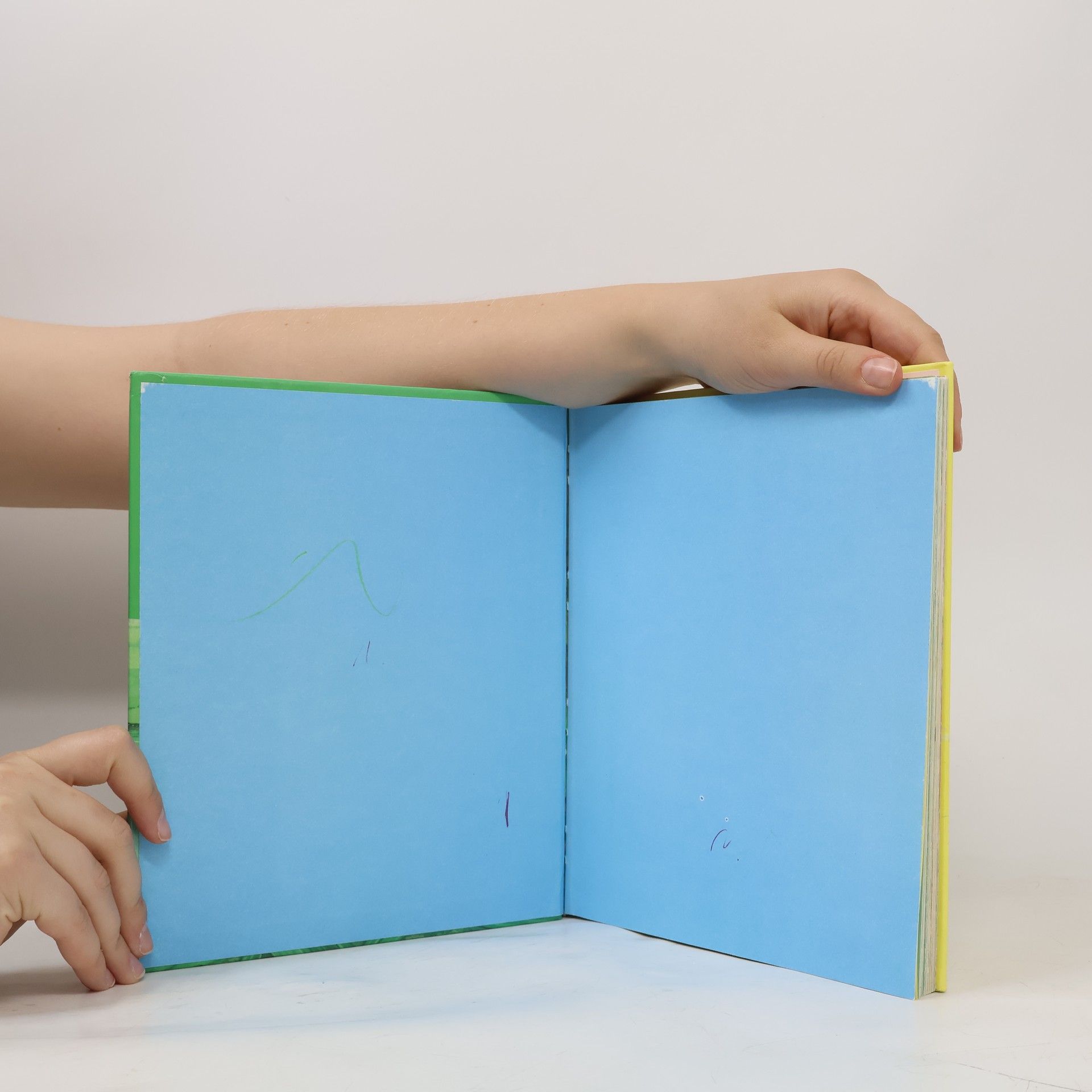 Collectif d'auteurs Nezbedné káčatká