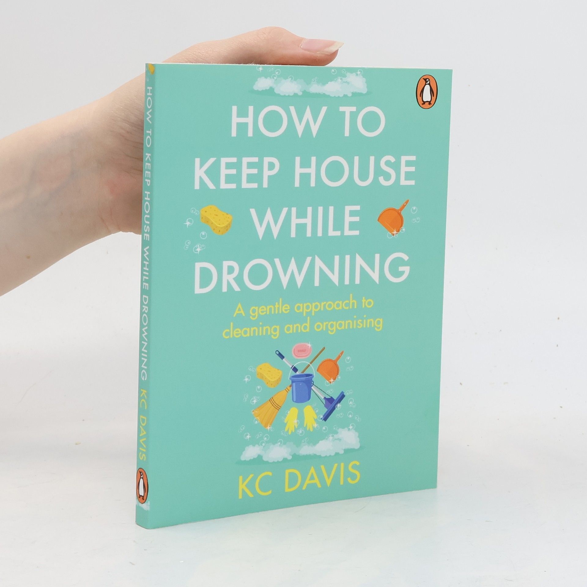Guy Davis How to Keep House While Drowning