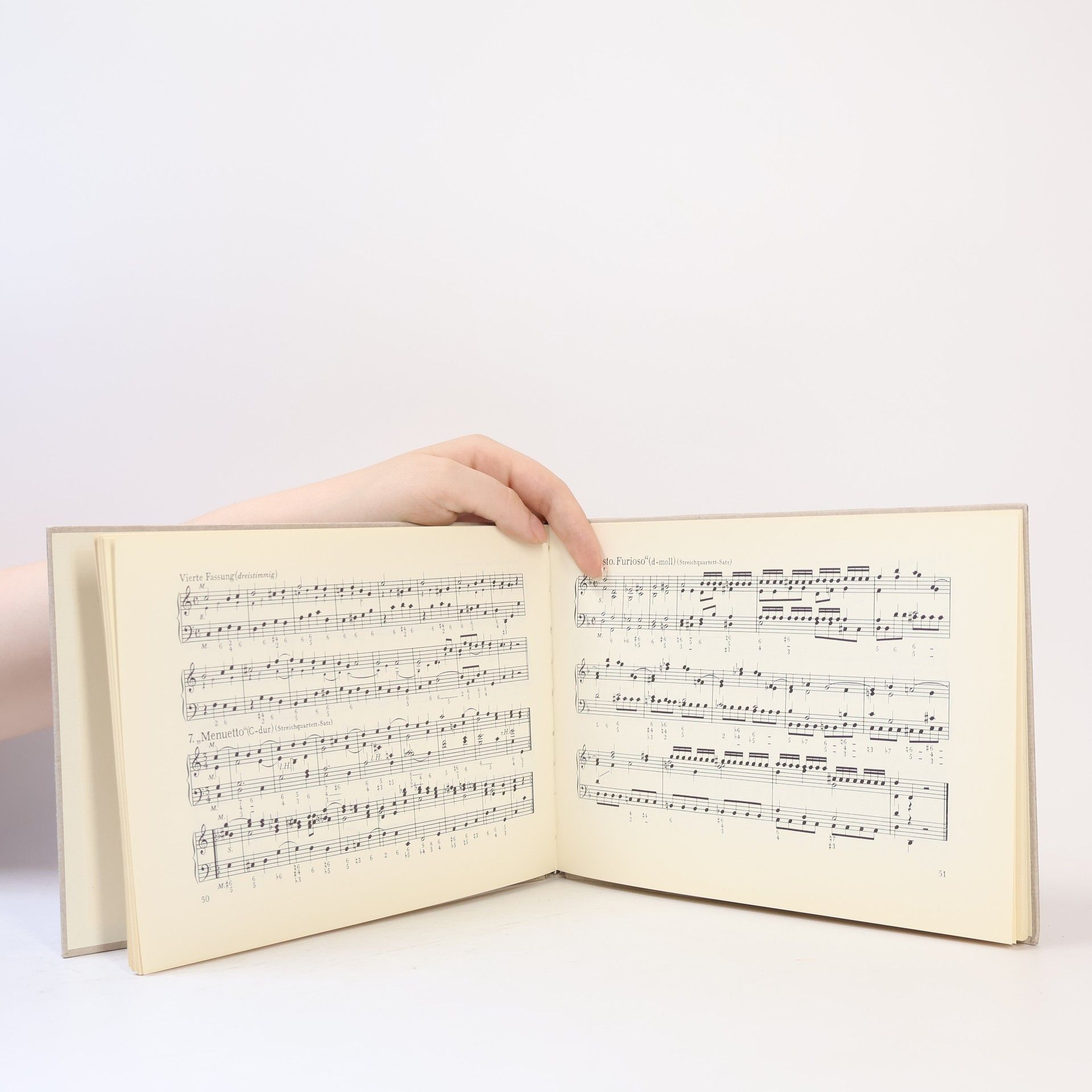 Erich Lauer Mozart, wie ihn niemand kennt