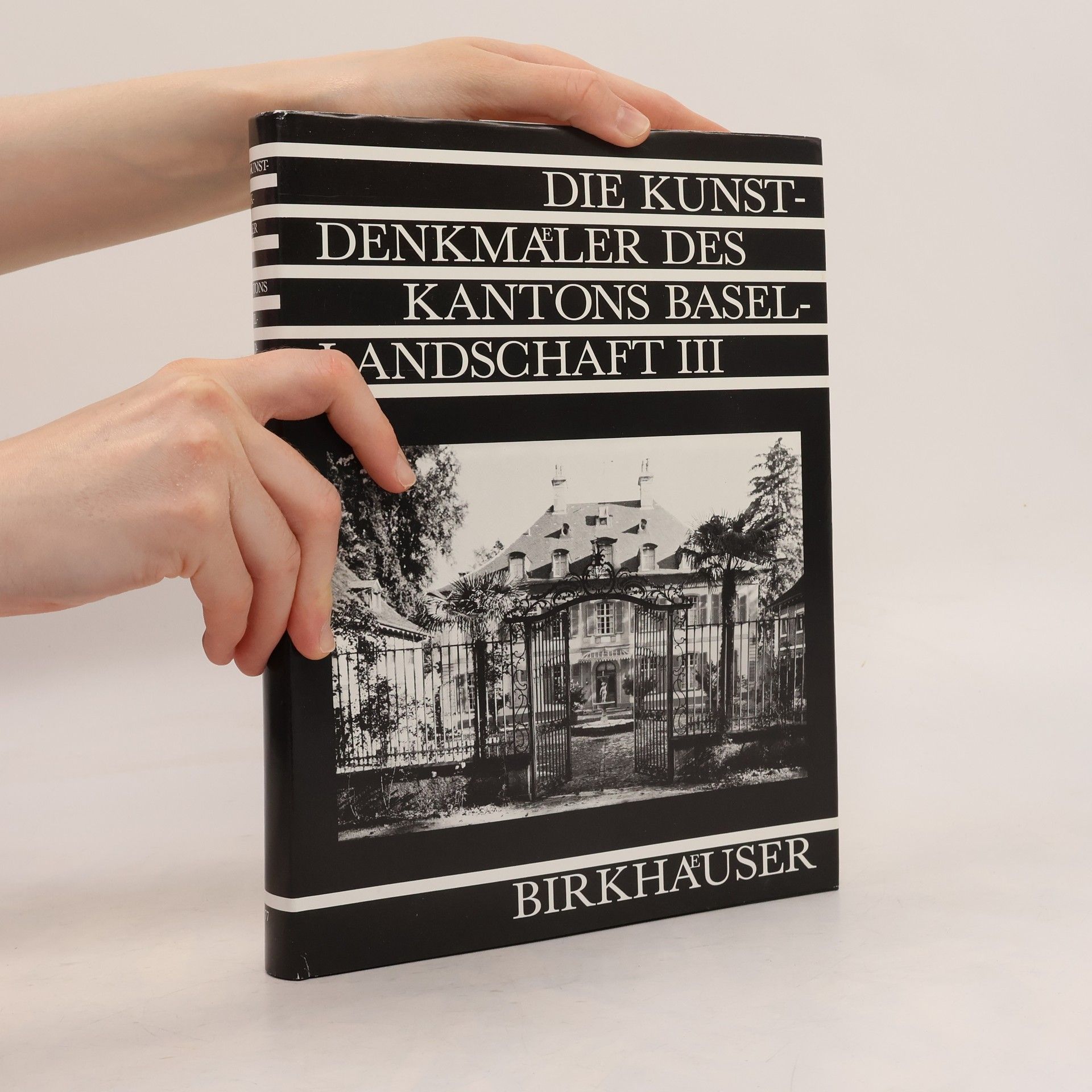 Ernst Stockmeyer Die Kunstdenkmäler der Schweiz III