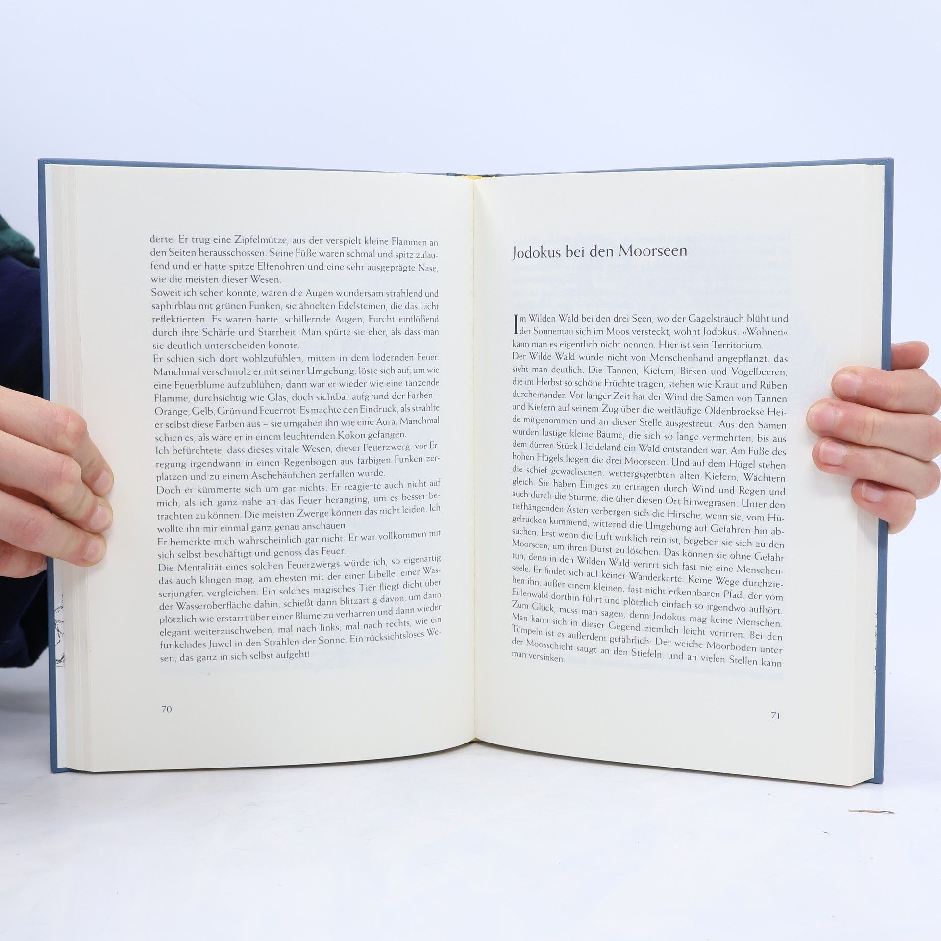 Annie Gerding-Le Comte Zwerge, Gnome und Fantome