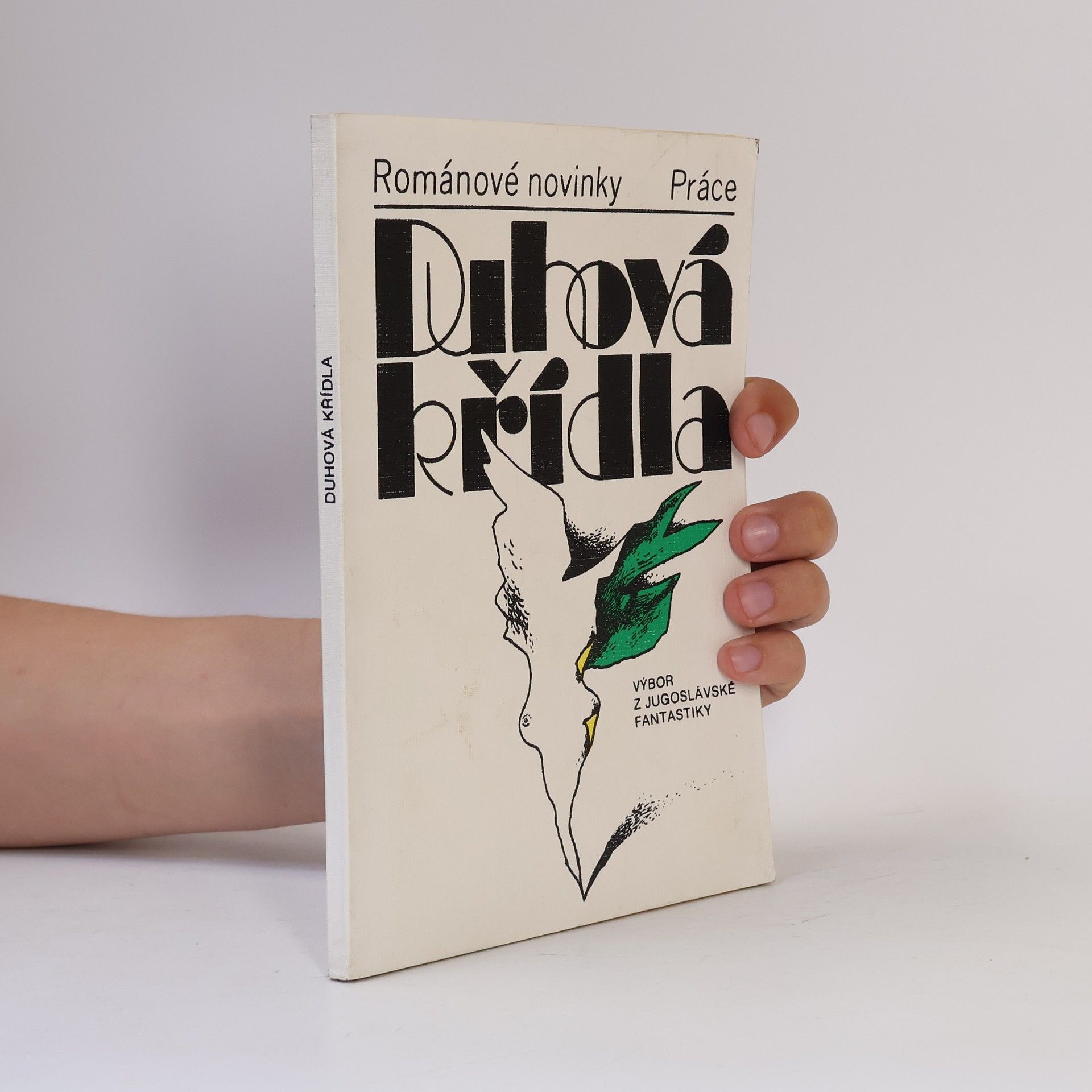 Kolektív autorov Duhová křídla