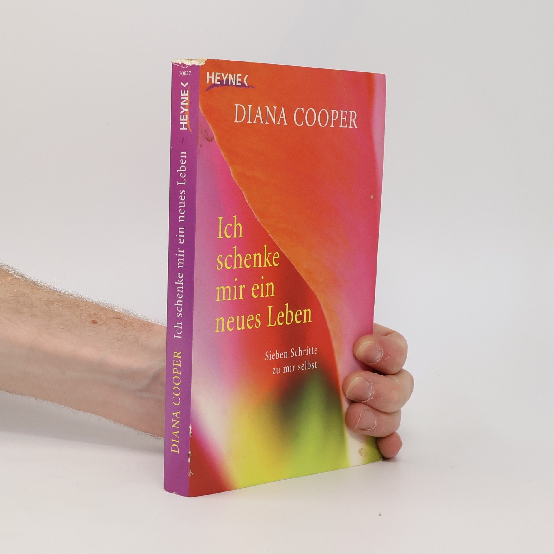 Diana Cooper Ich schenke mir ein neues Leben