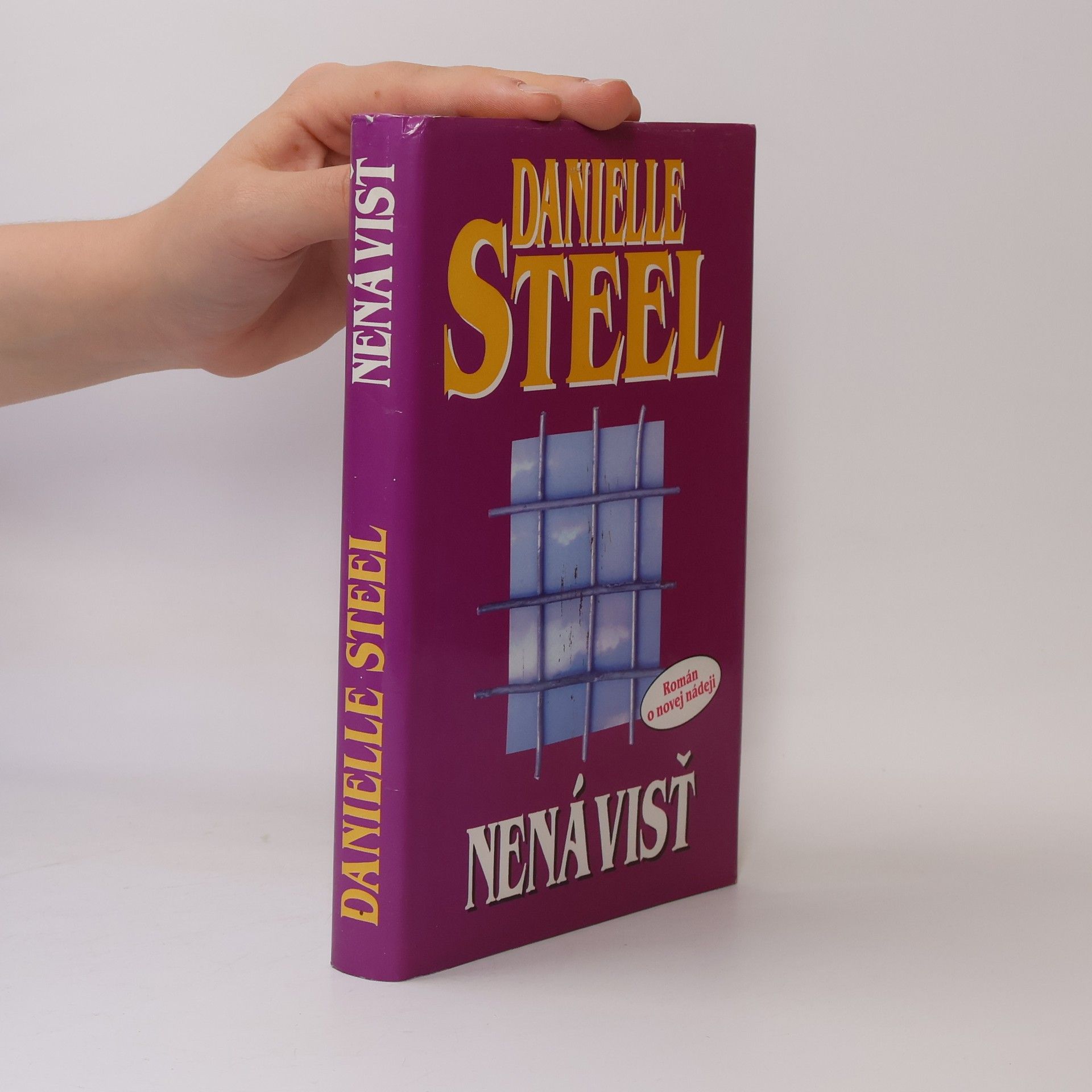 Danielle Steel Nenávisť
