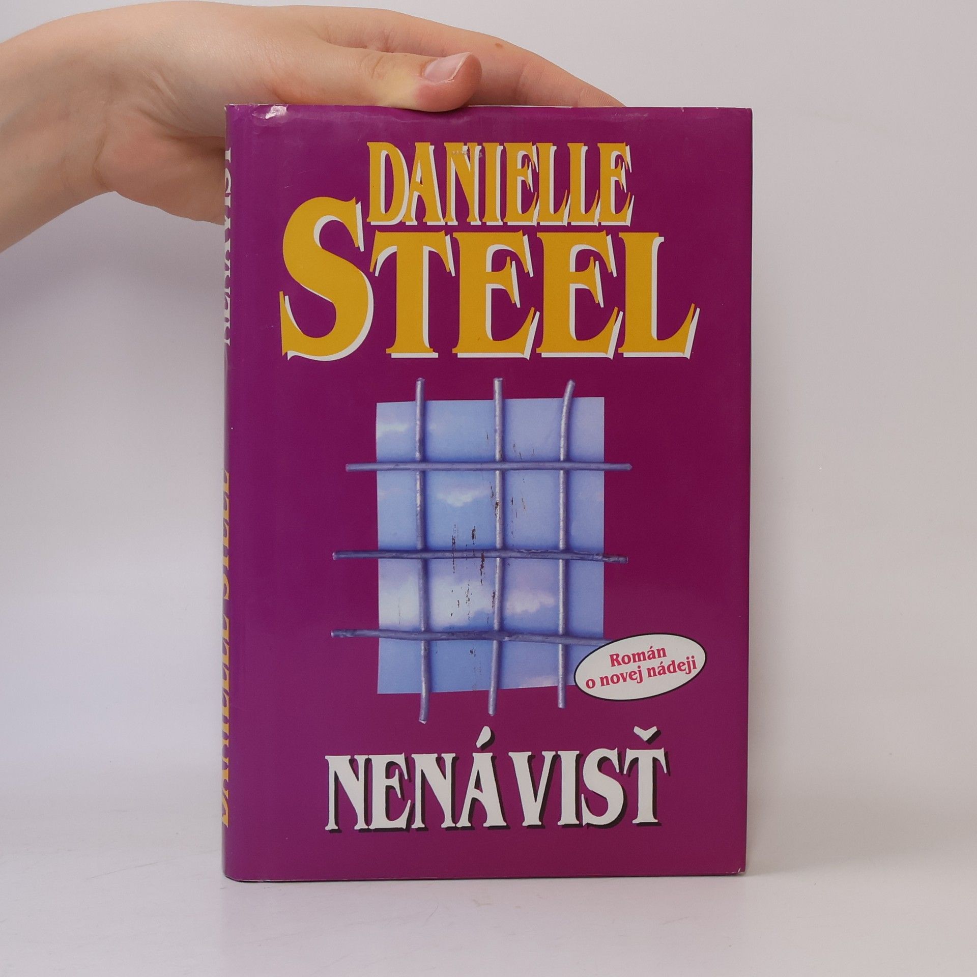 Danielle Steel Nenávisť