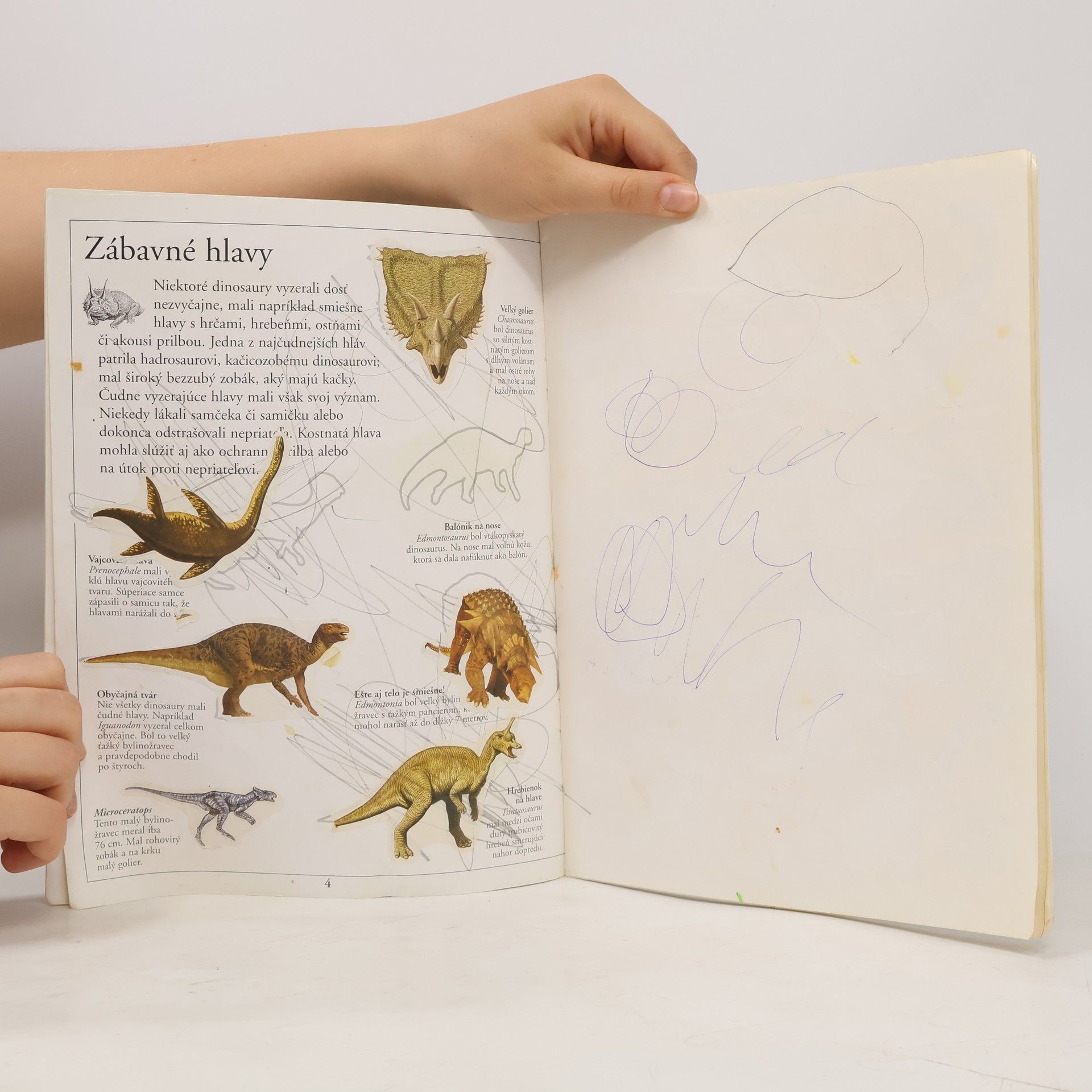 Various authors Dinosaury. Kniha so samolepkami