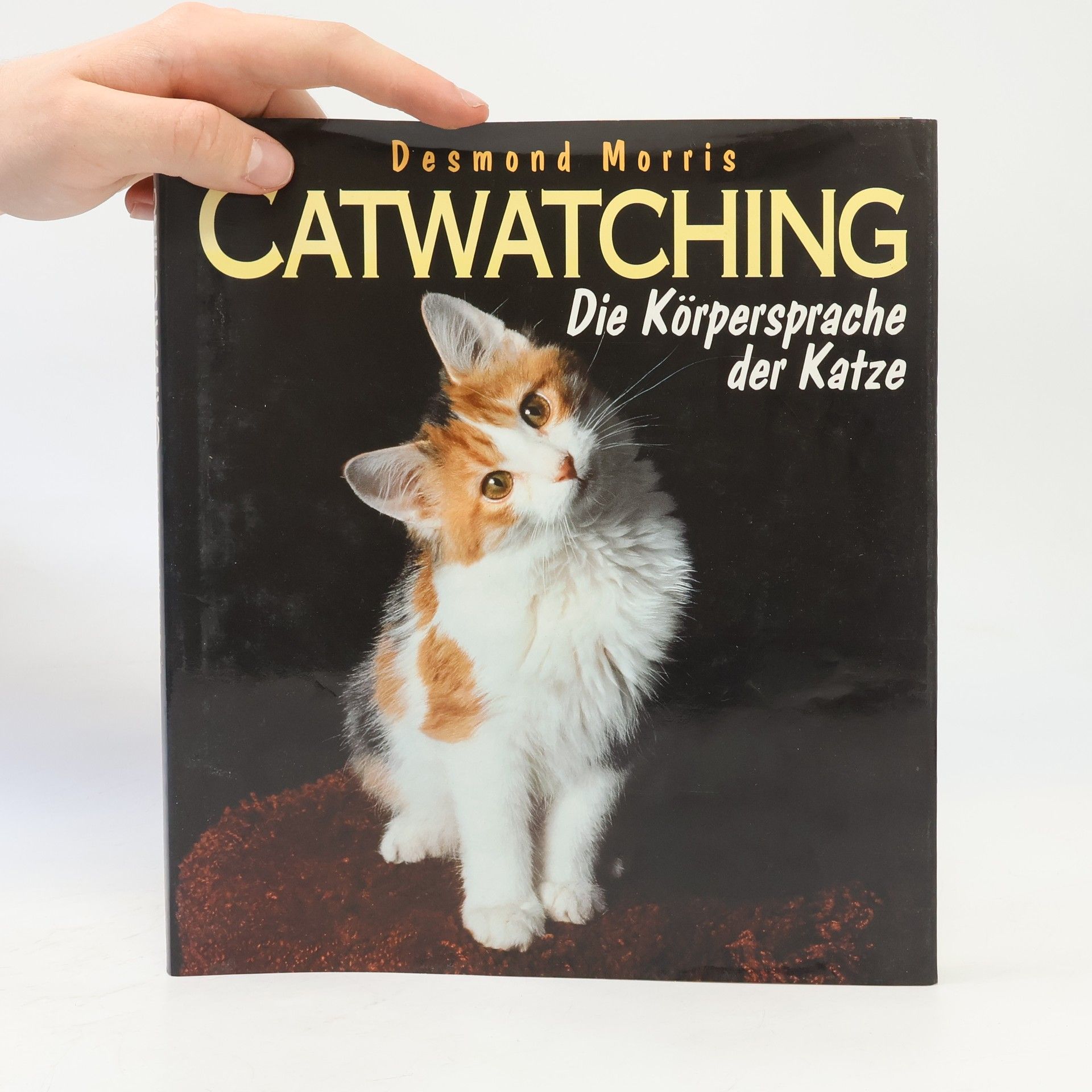 Desmond Morris Catwatching