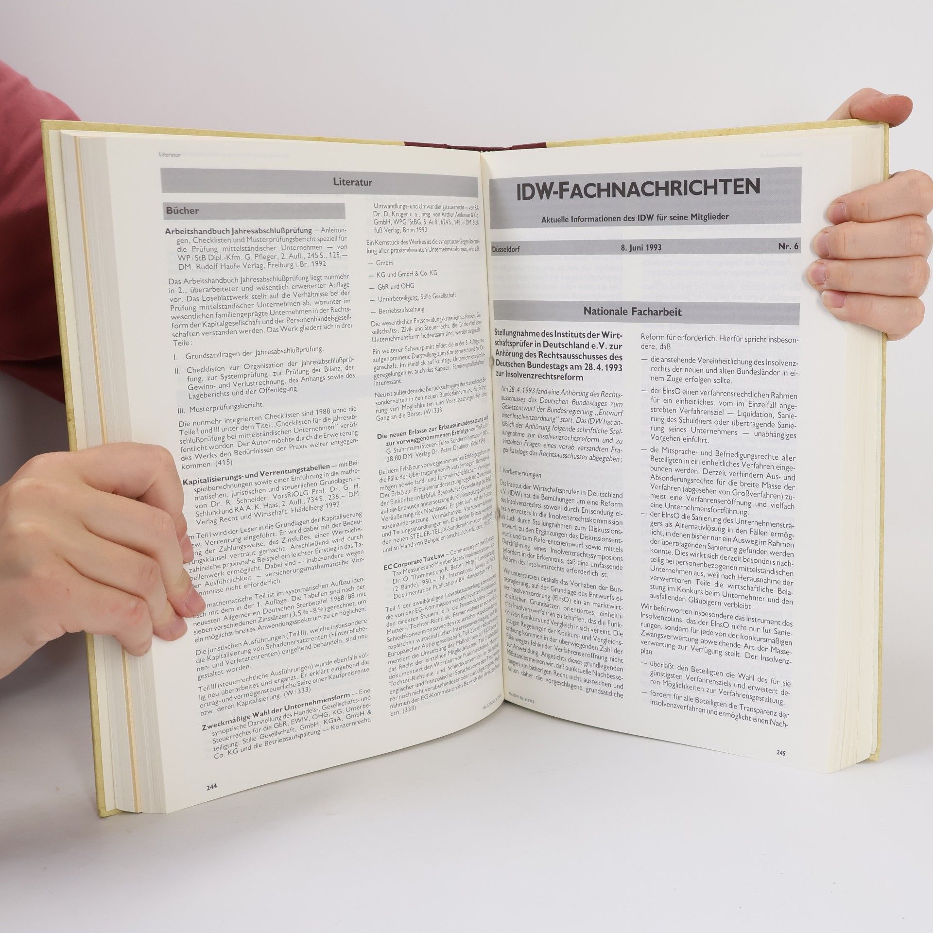 Autorenkollektiv IDW-Fachnachrichten. Jahresregister 1993