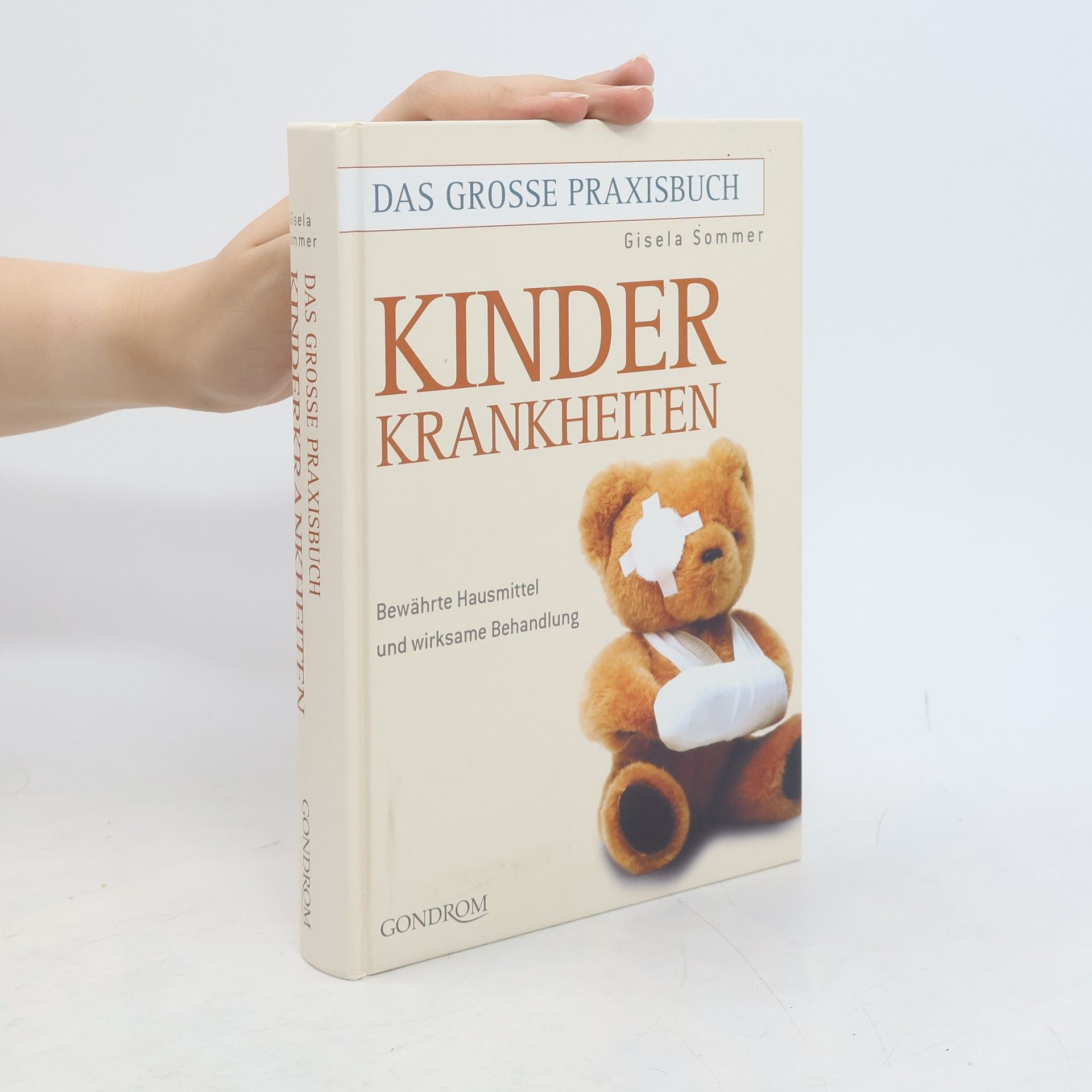 Gisela Sommer Das grosse Praxisbuch Kinderkrankheiten