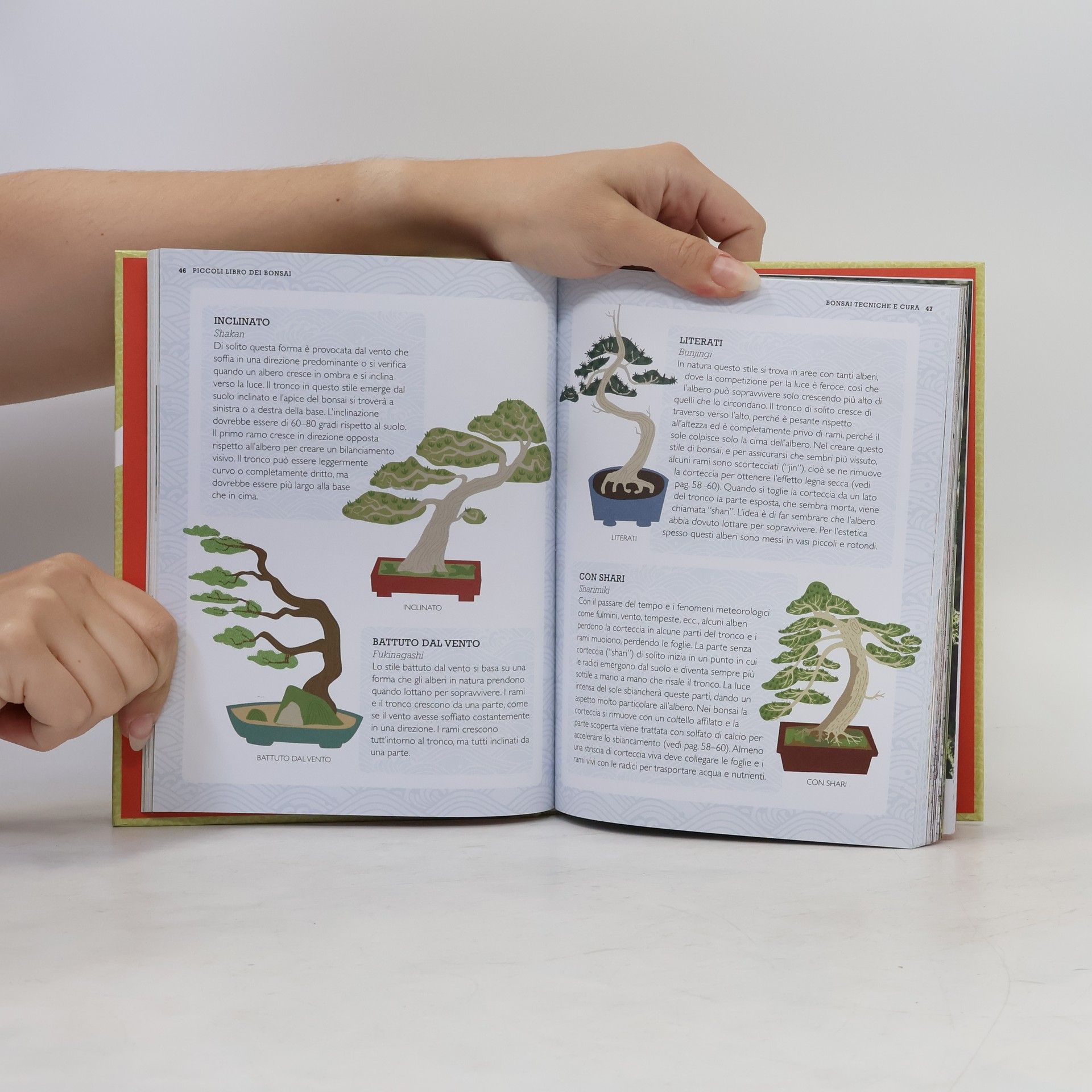 Kath Hughes Giardinaggio: Piccolo libro dei bonsai