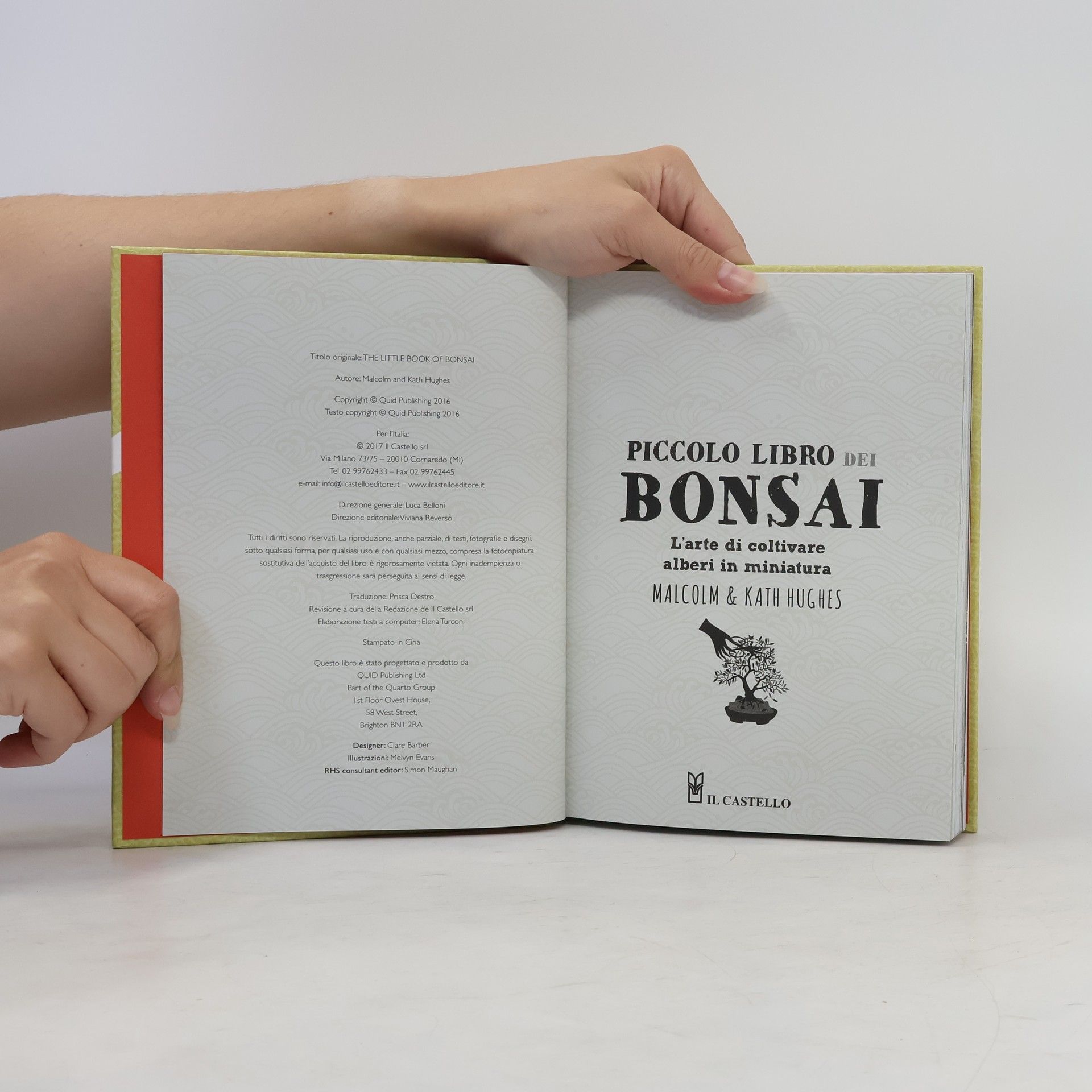 Kath Hughes Giardinaggio: Piccolo libro dei bonsai