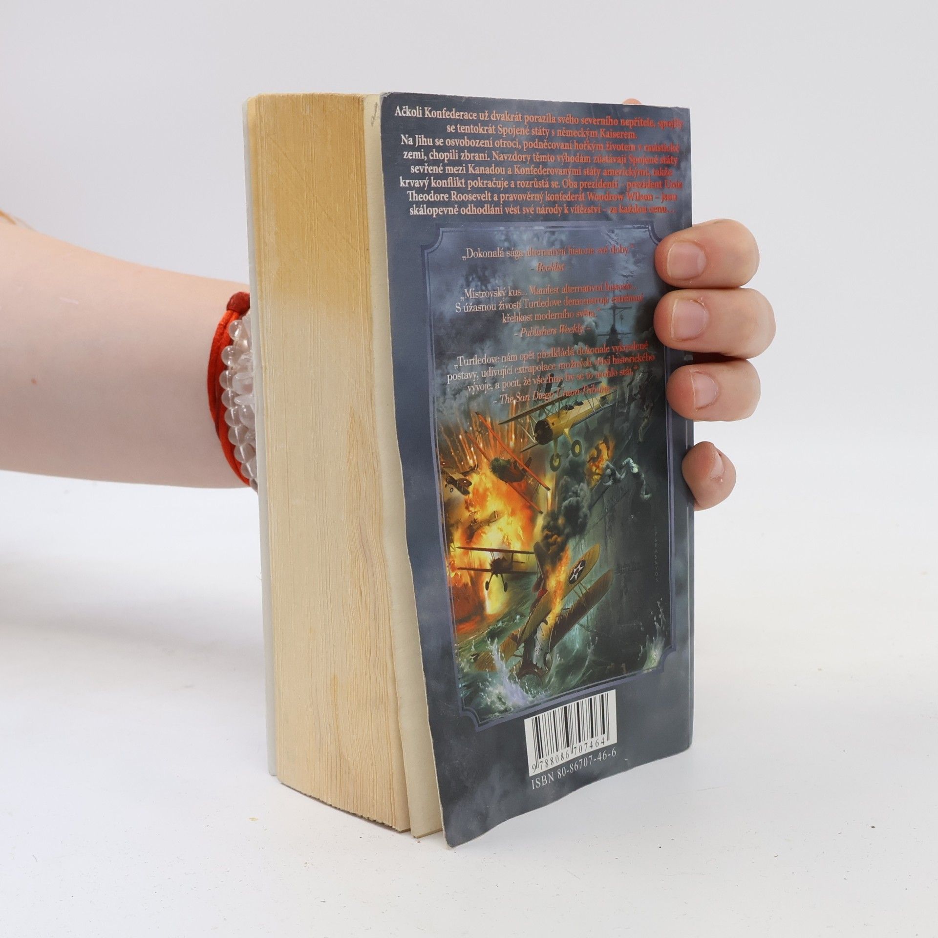 Harry Turtledove Velká válka: cesta peklem