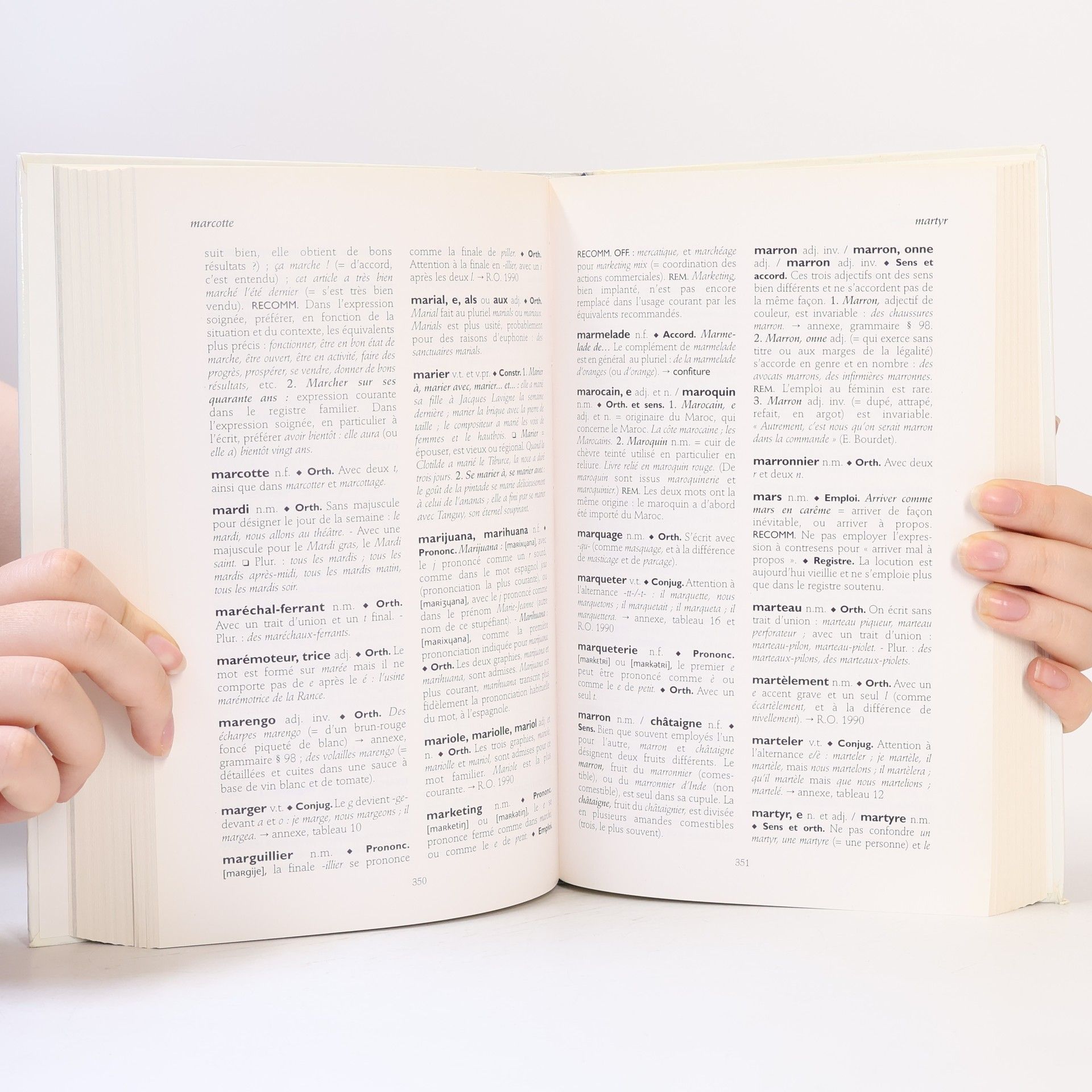 Daniel Péchoin Dictionnaire des difficultés du français