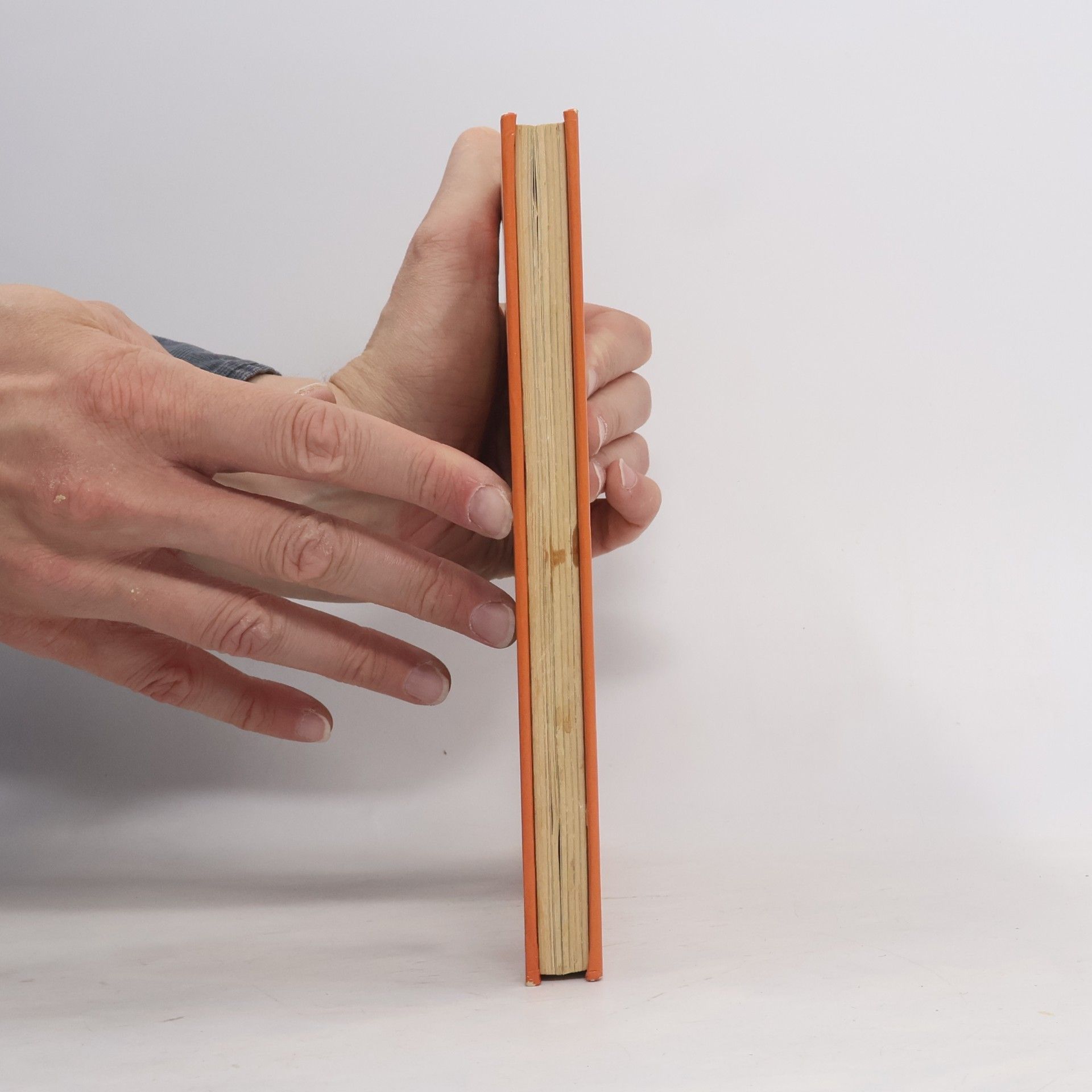 Ingrid Früchtel Das grosse Vollkorn-Kochbuch