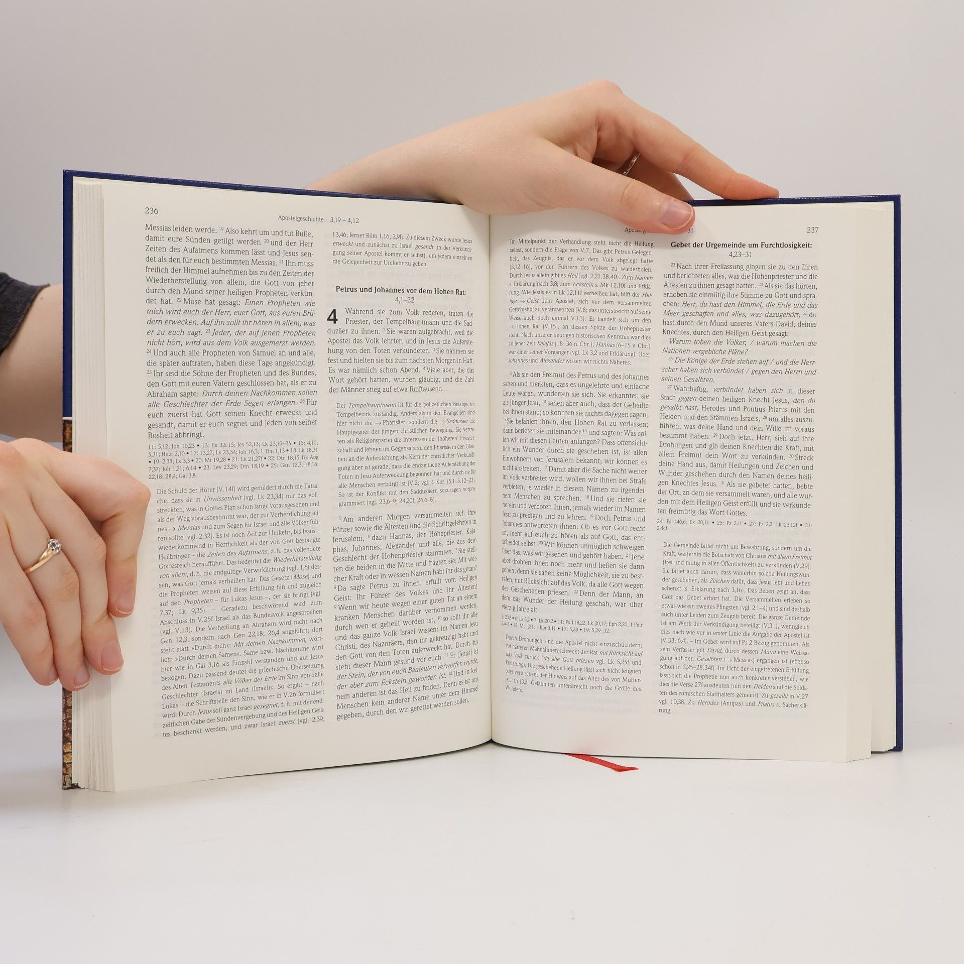 Various authors Stuttgarter Neues Testament