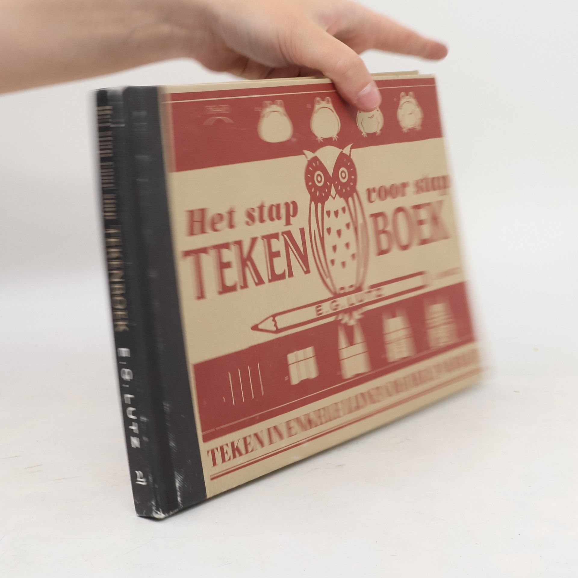 Het stap voor stap tekenboek