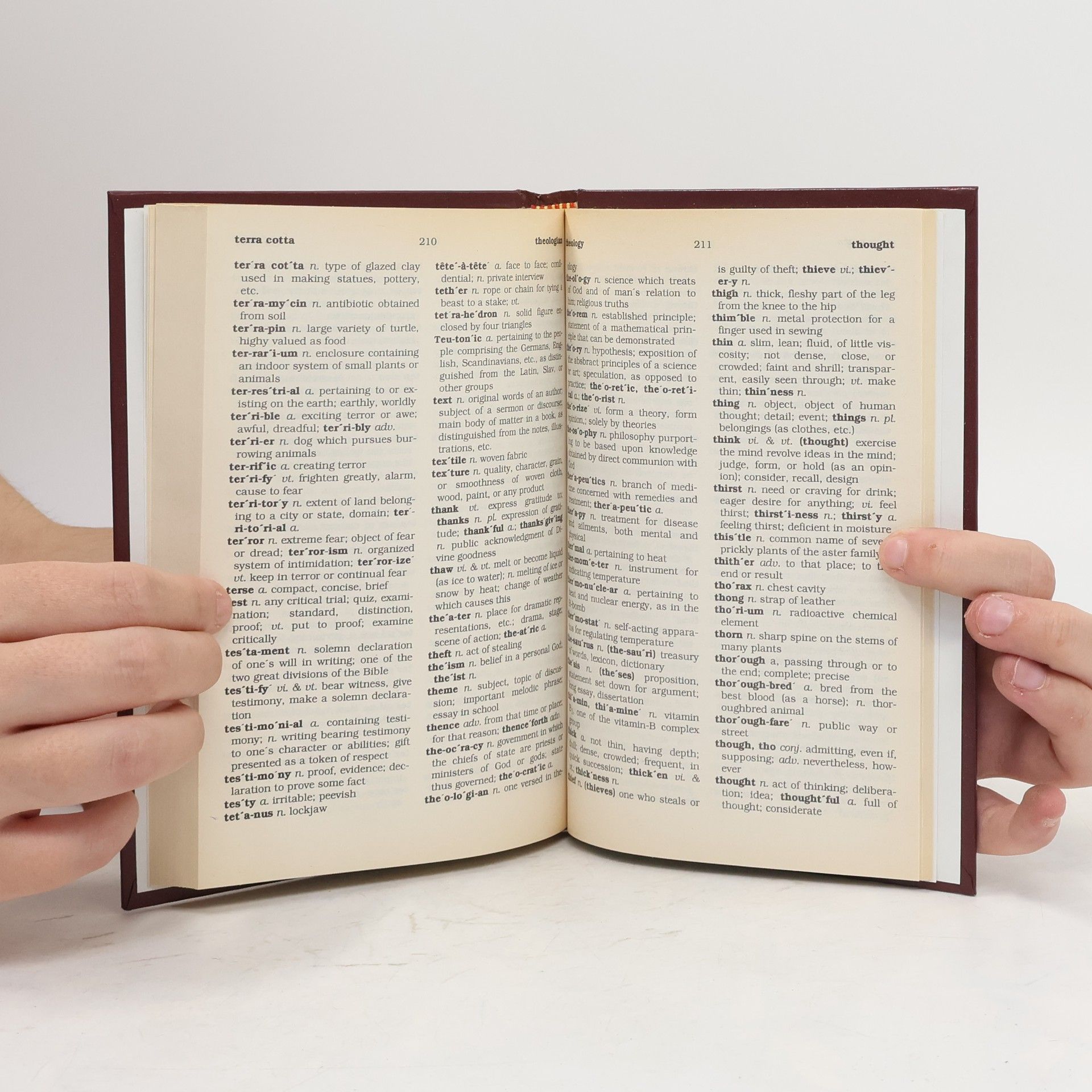 Webster's Dictionary