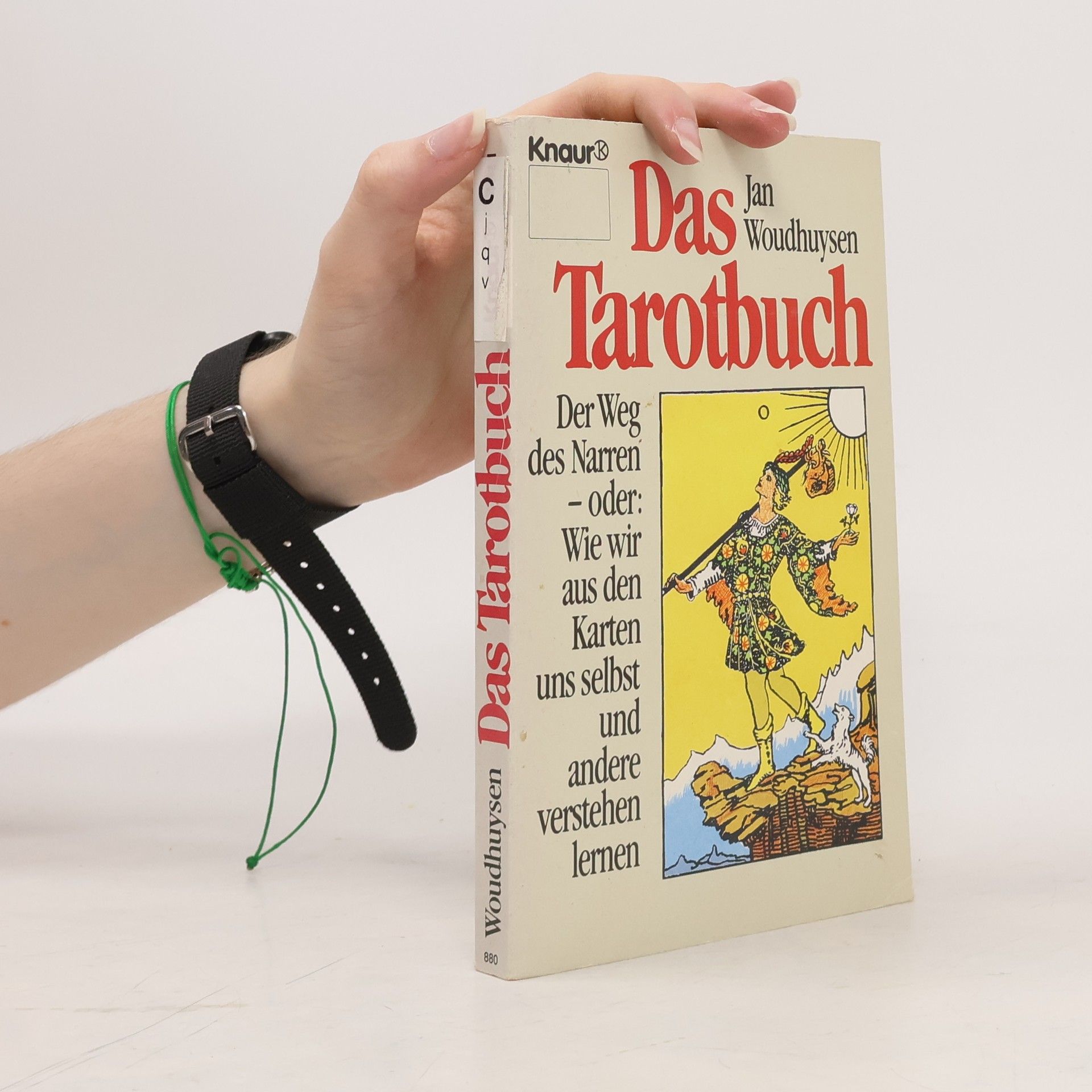 Jan Woudhuysen Das Tarotbuch