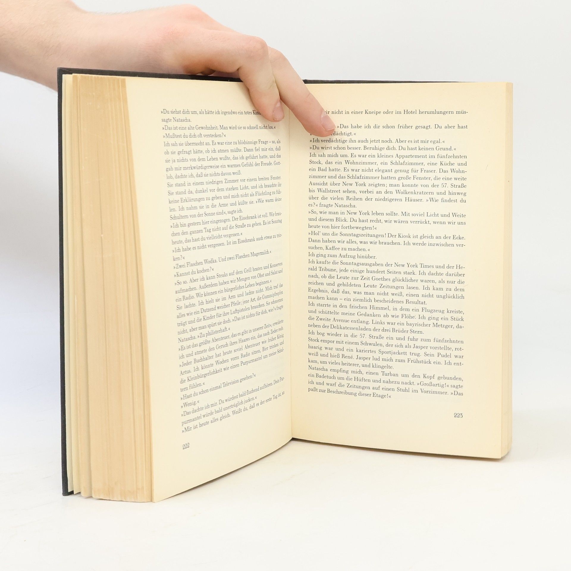 Erich Maria Remarque Schatten im Paradies