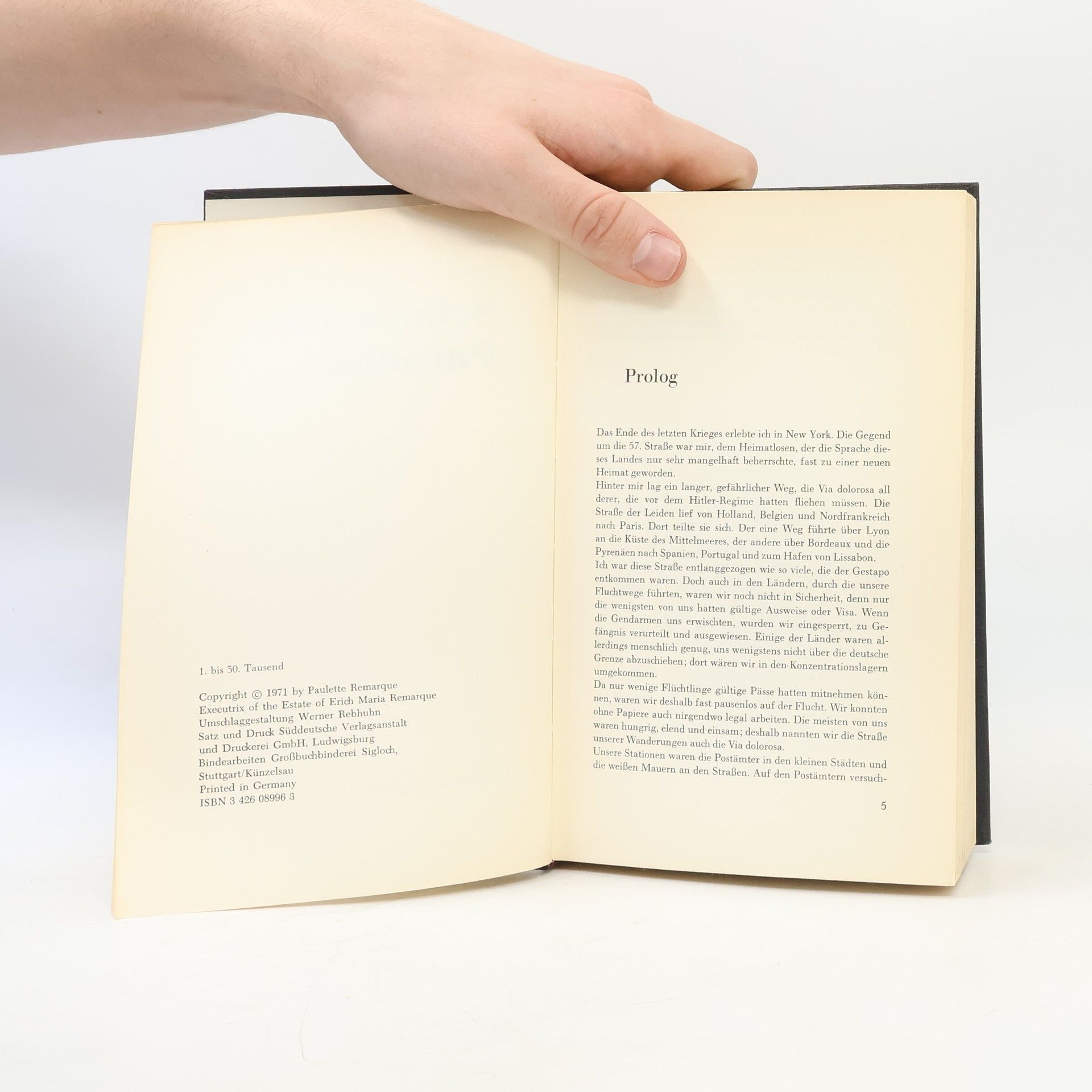 Erich Maria Remarque Schatten im Paradies