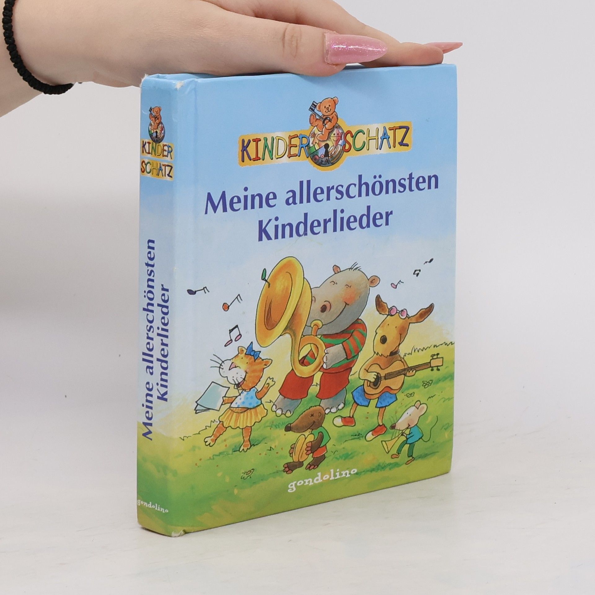 Autorenkollektiv Meine schönsten Kinderlieder