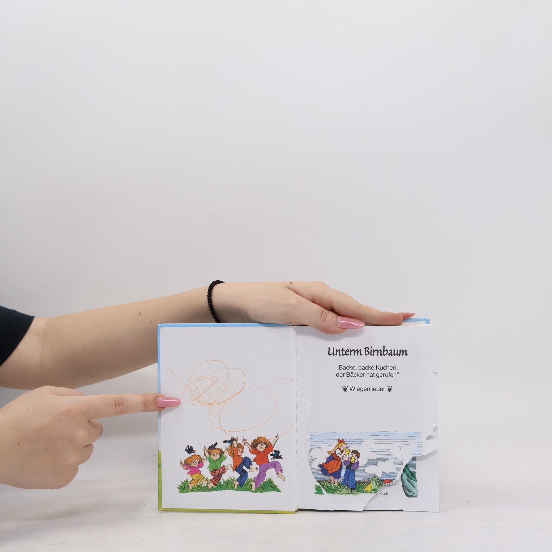 Autorenkollektiv Meine schönsten Kinderlieder