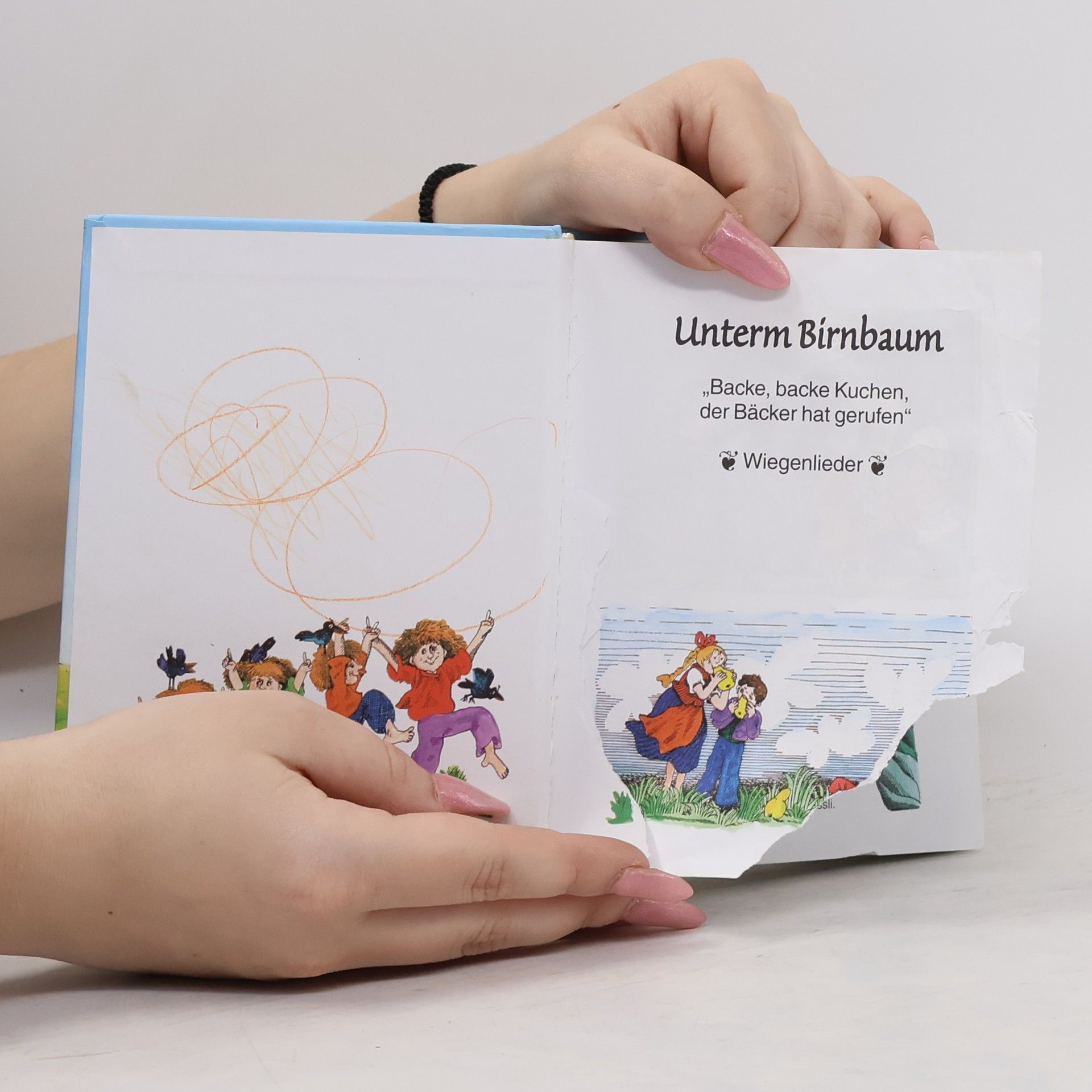 Autorenkollektiv Meine schönsten Kinderlieder