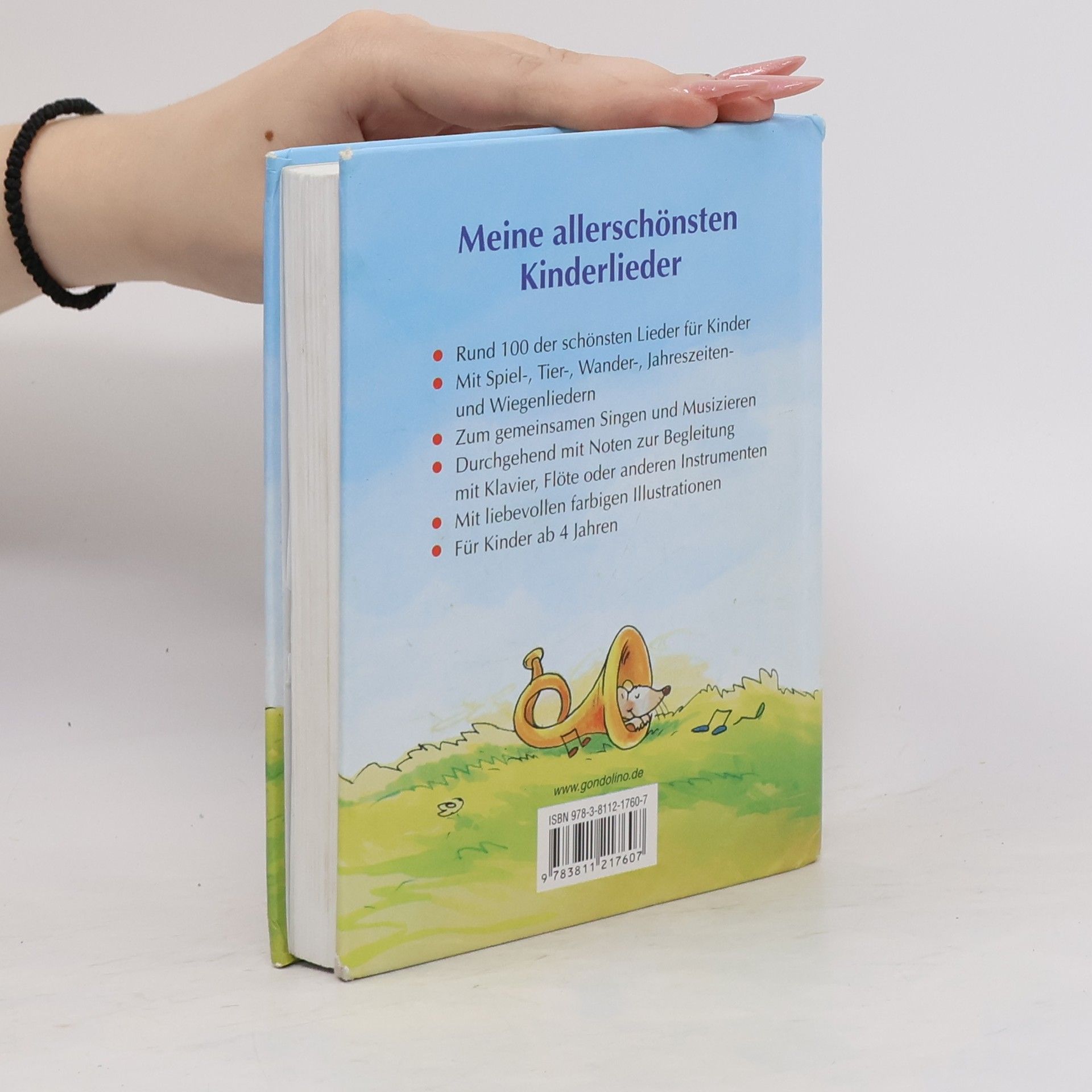 Autorenkollektiv Meine schönsten Kinderlieder