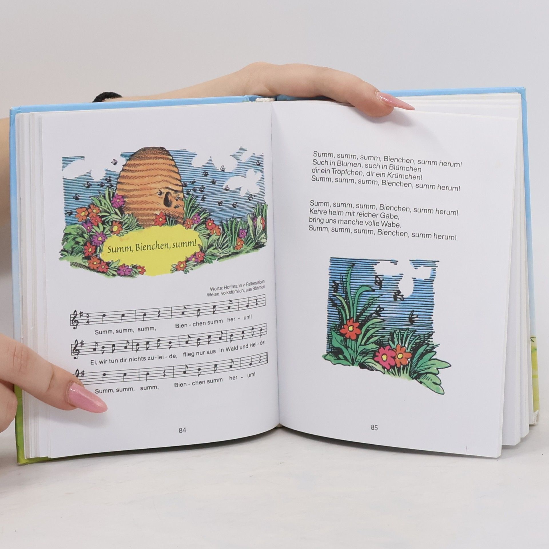Autorenkollektiv Meine schönsten Kinderlieder
