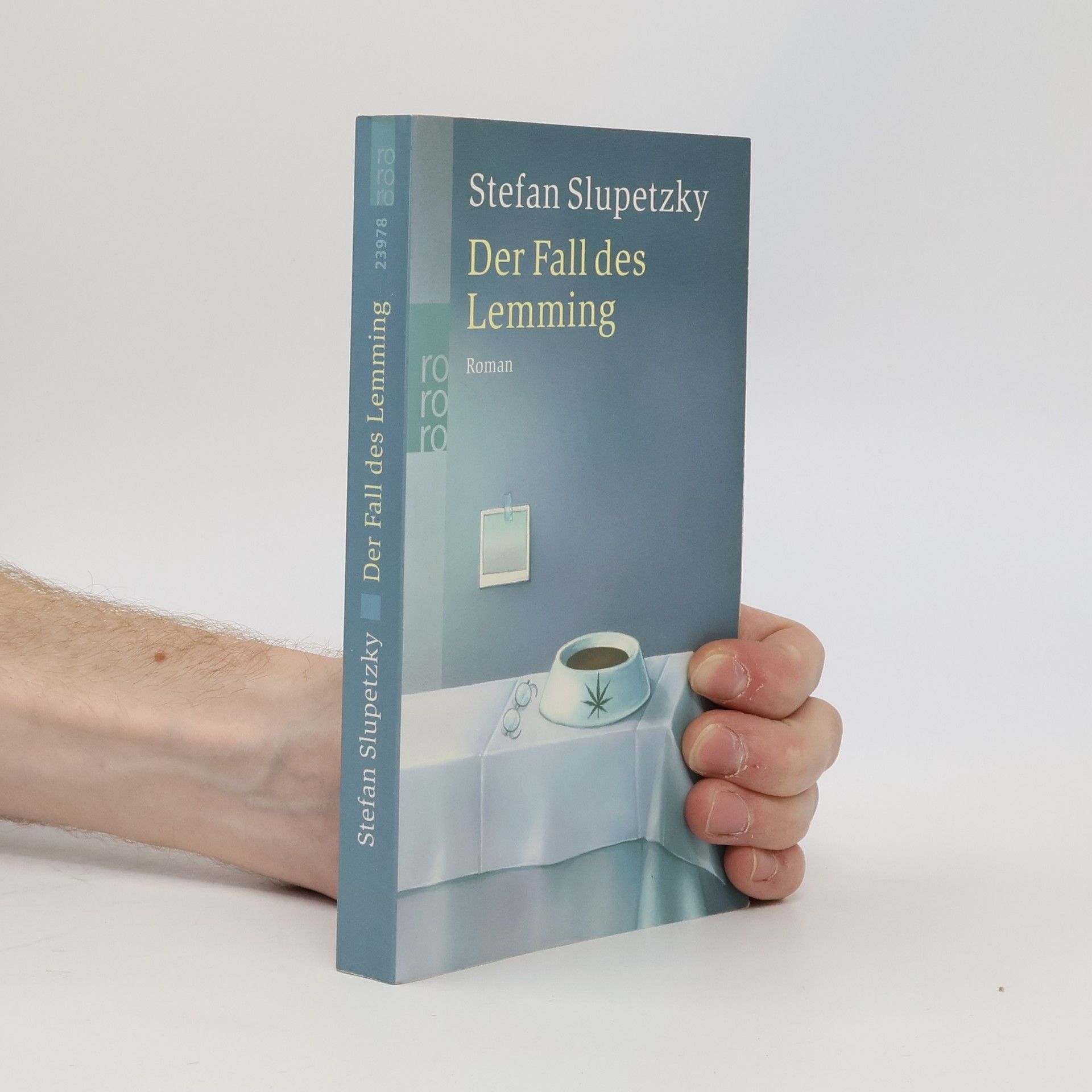 Stefan Slupetzky Der Fall des Lemming