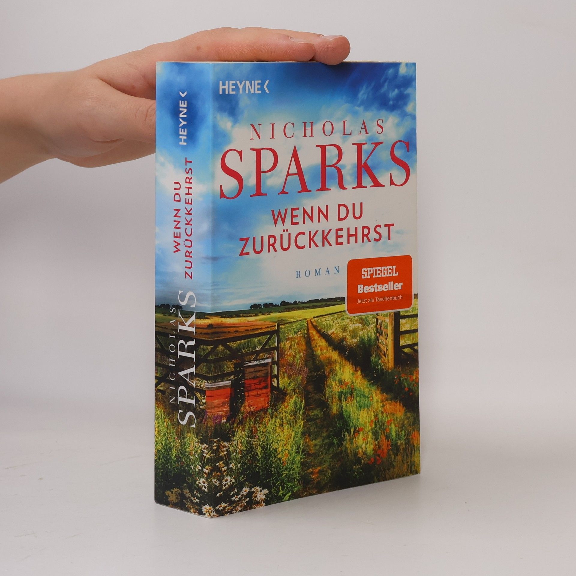 Nicholas Sparks Wenn du zurückkehrst