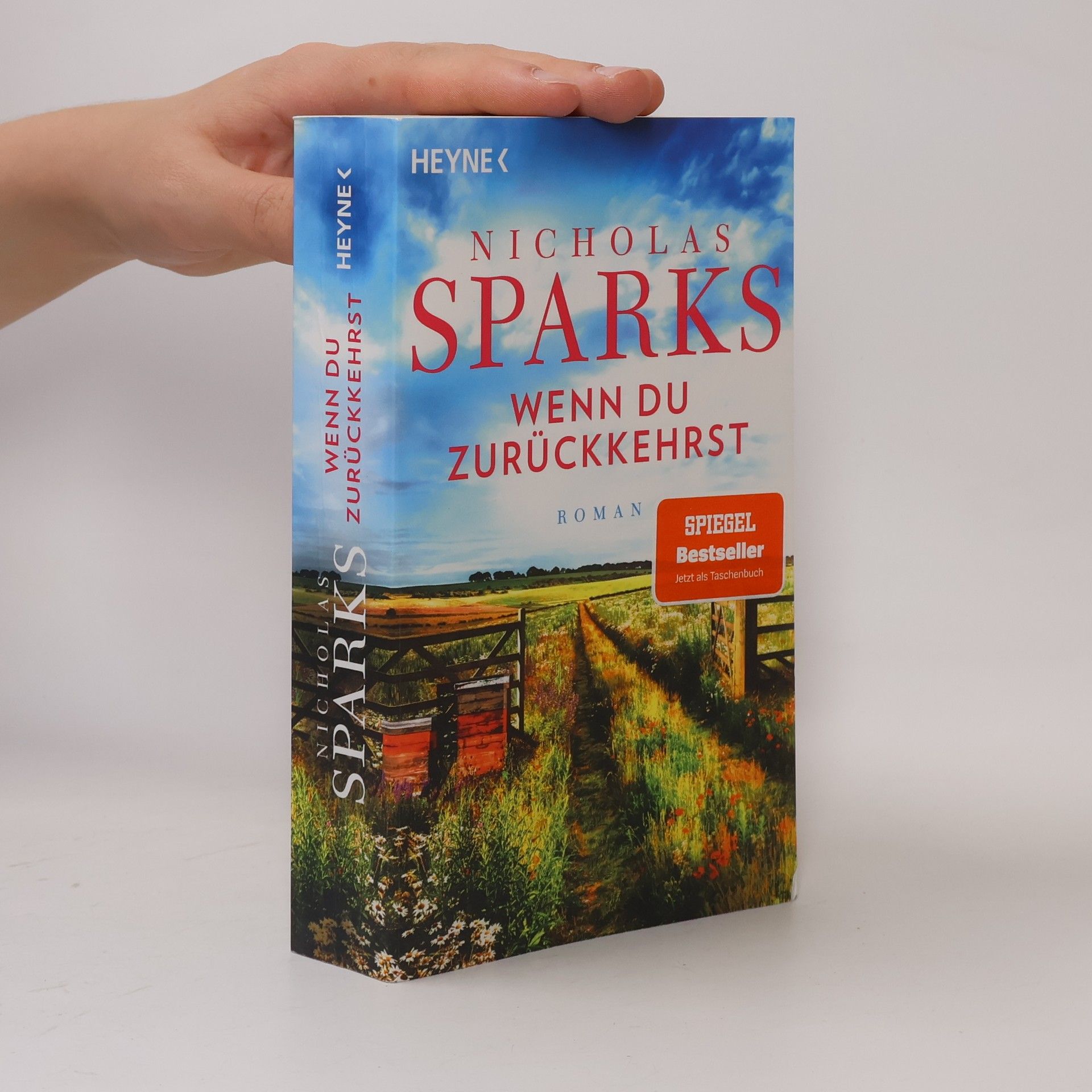 Nicholas Sparks Wenn du zurückkehrst