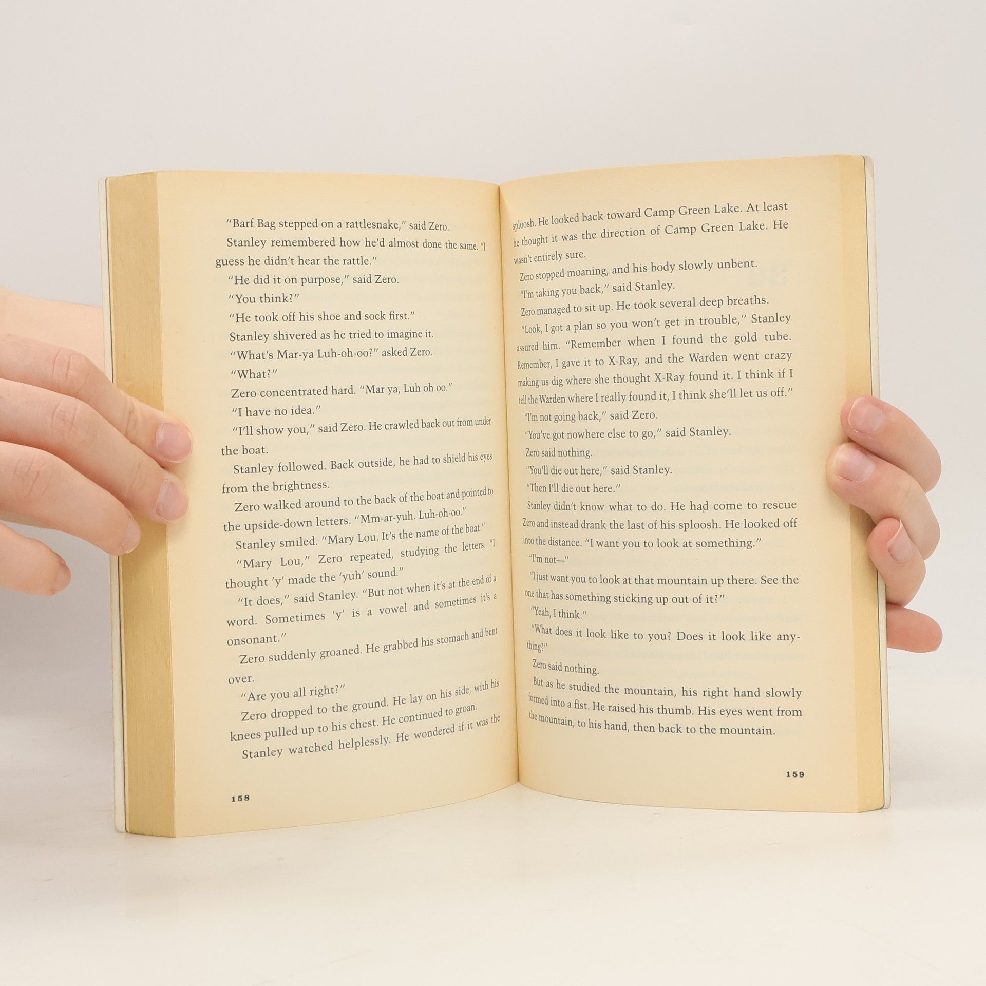 Louis Sachar Holes
