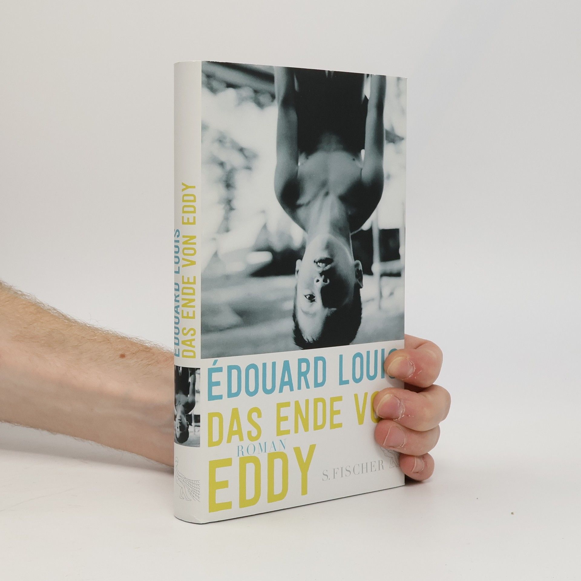 Édouard Louis Das Ende von Eddy
