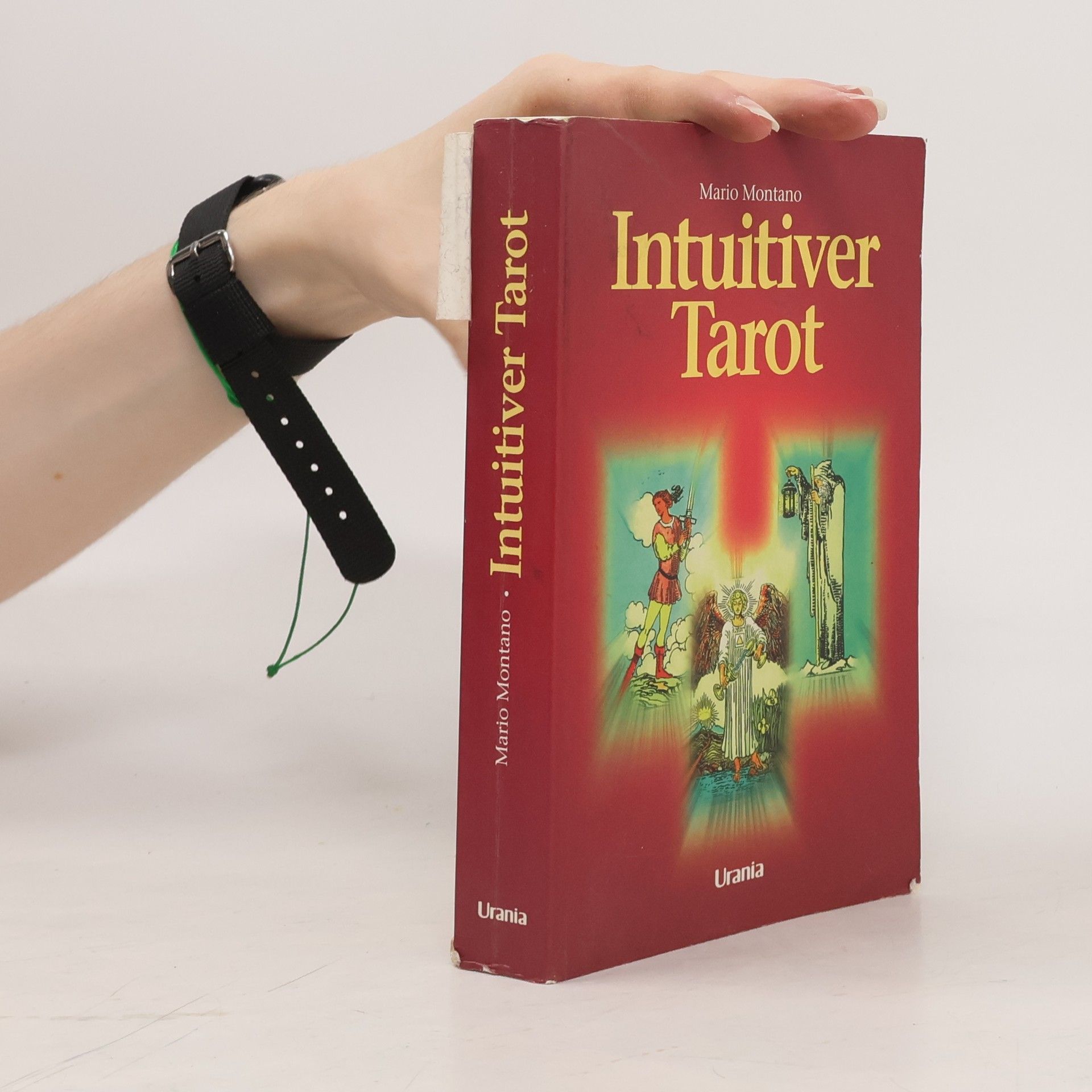 Mario Montano Intuitiver Tarot