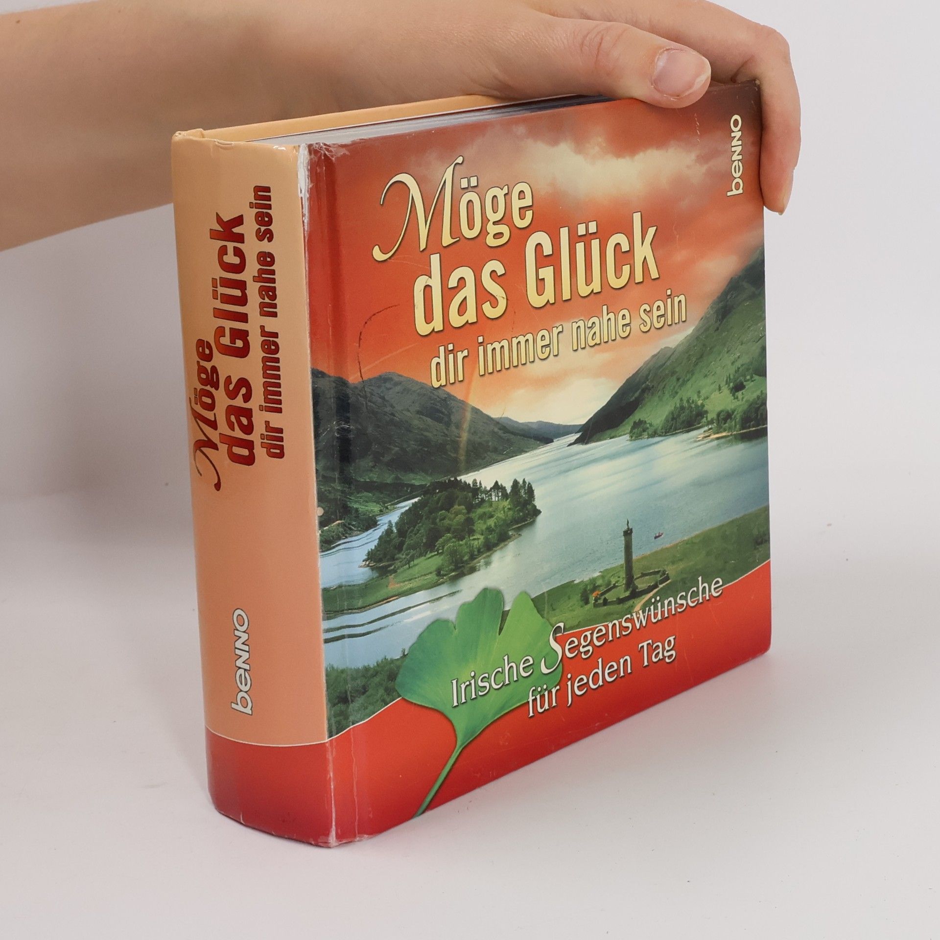 Autorenkollektiv Möge das Glück dir immer nahe sein: Irische Segenswünsche für jeden Tag