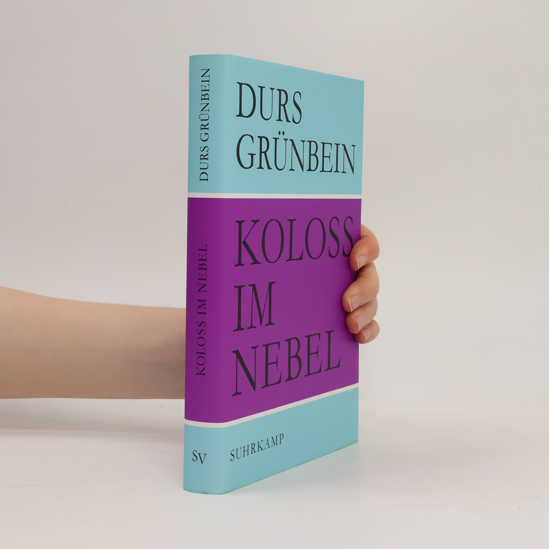 Durs Grünbein Koloß im Nebel
