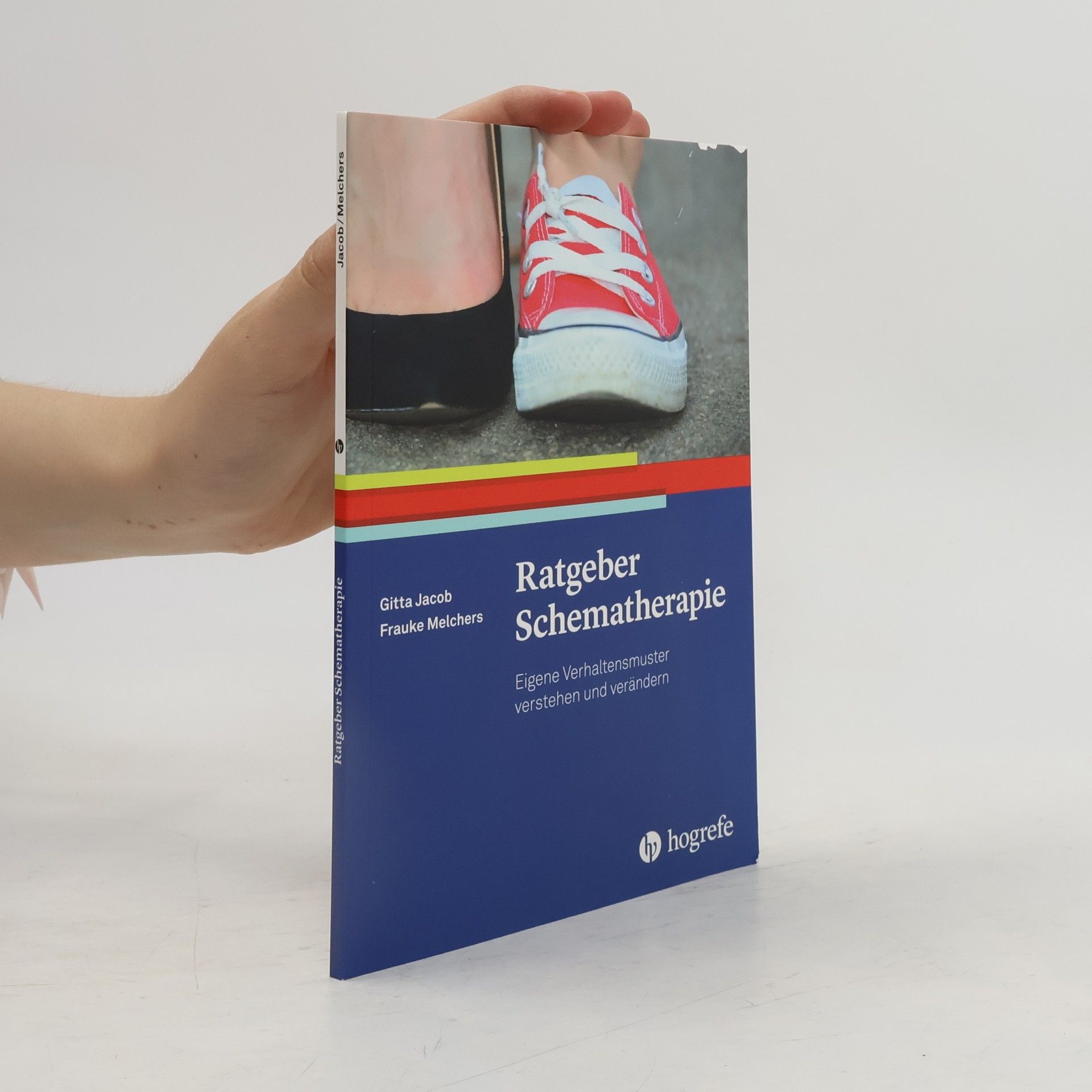 Frauke Melchers Ratgeber Schematherapie