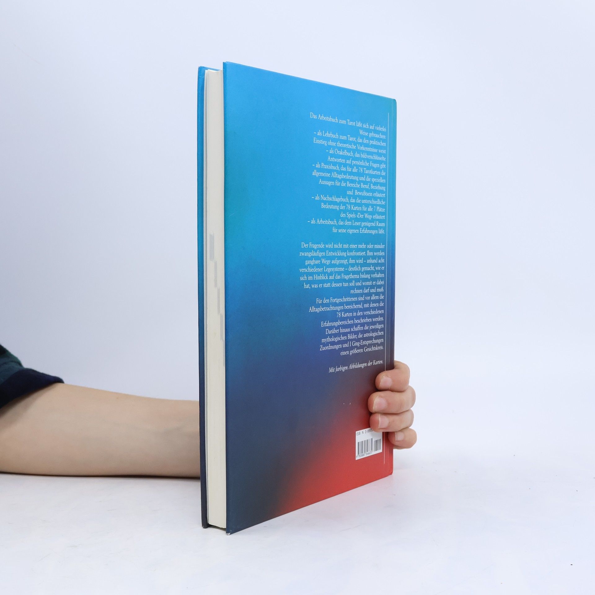 Hajo Banzhaf Das Arbeitsbuch zum Tarot