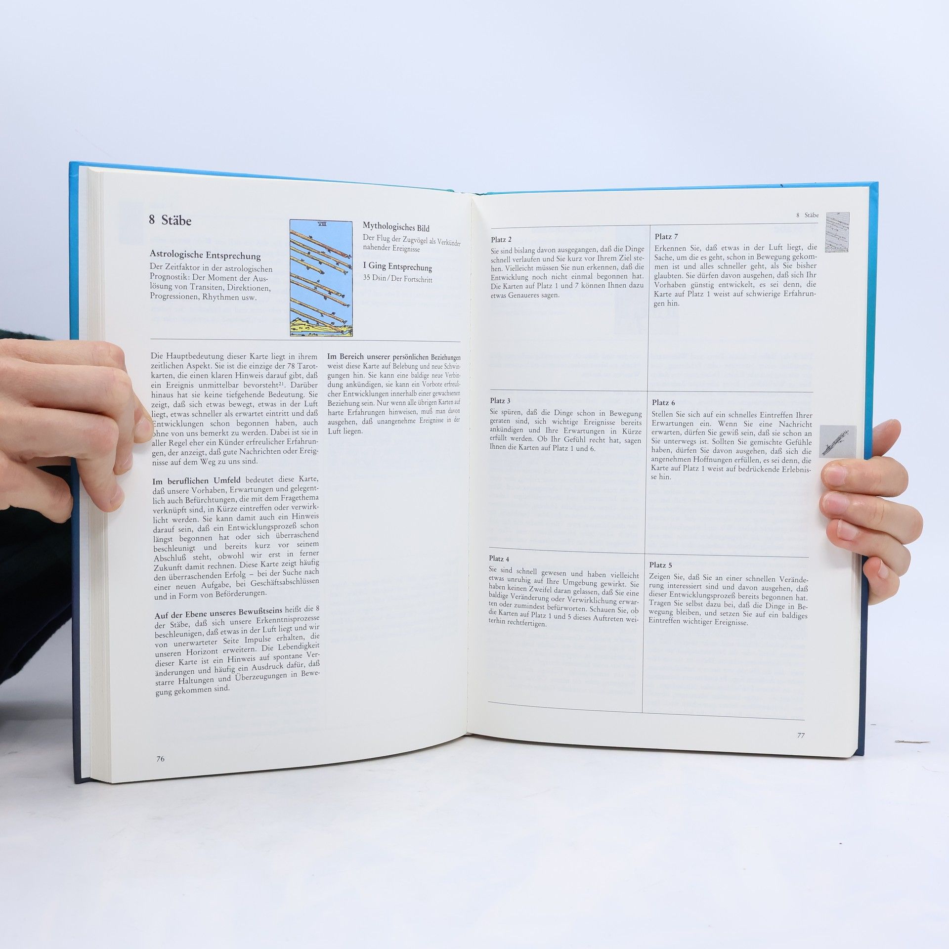 Hajo Banzhaf Das Arbeitsbuch zum Tarot