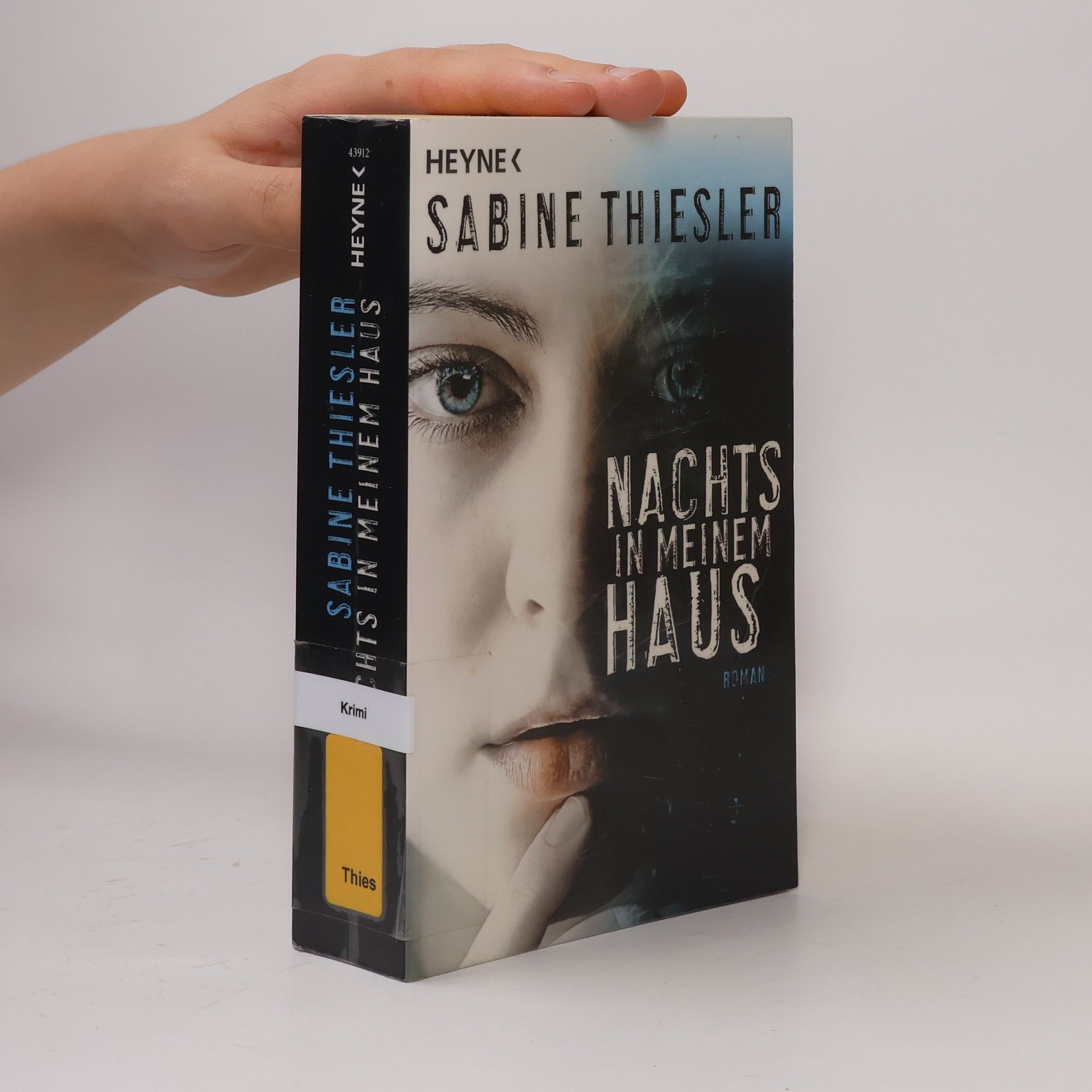 Sabine Thiesler Nachts in meinem Haus