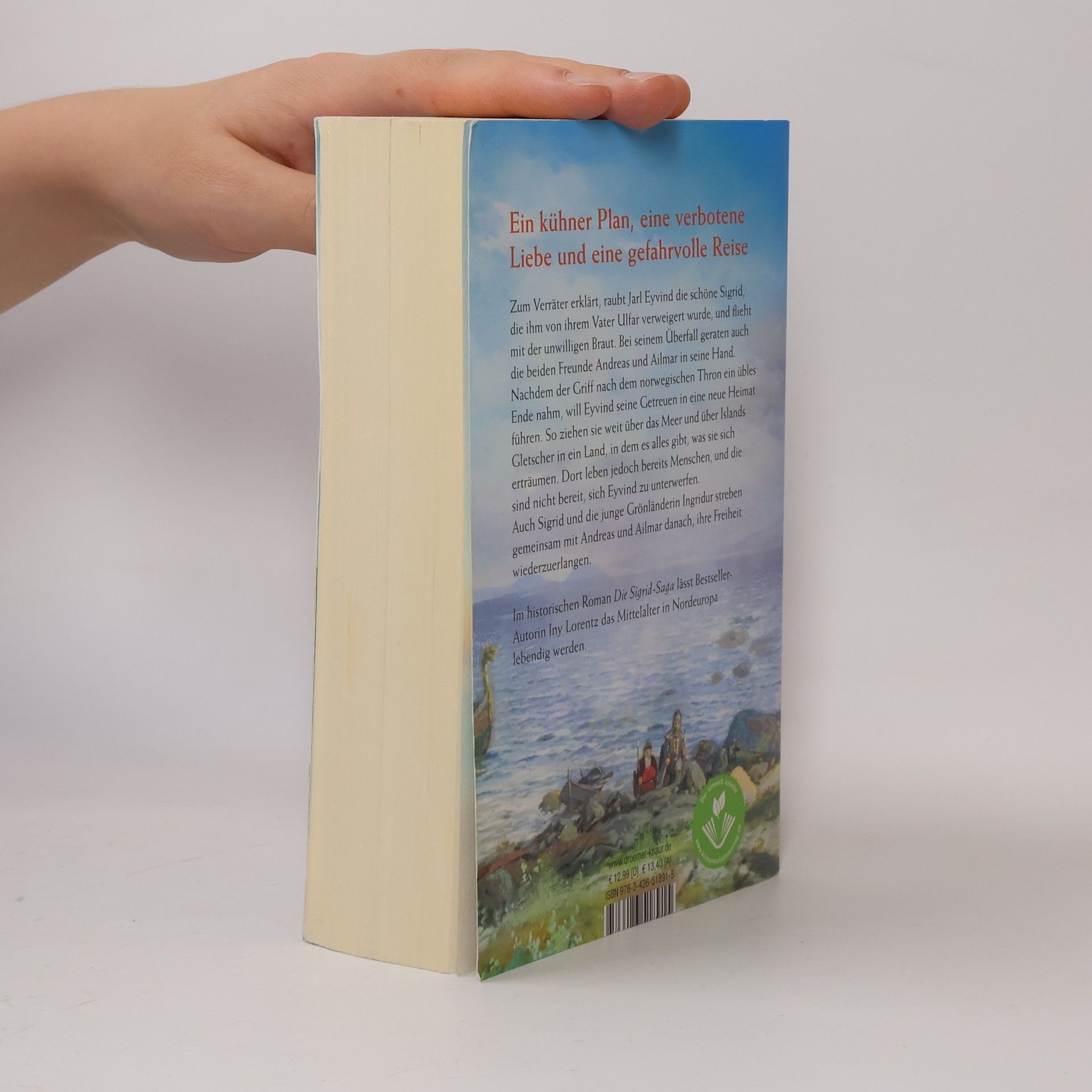 Iny Lorentz Die Saga von Vinland