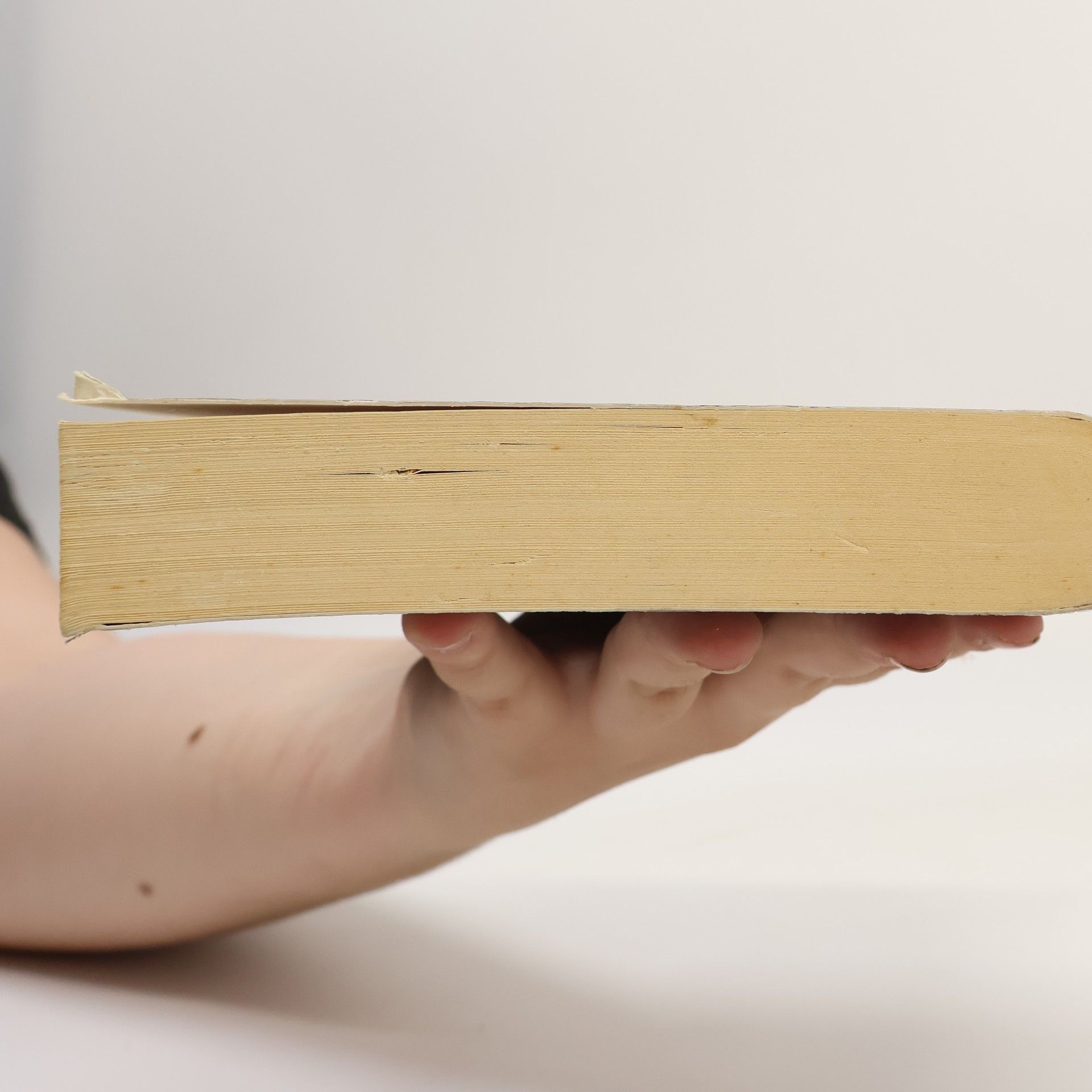 Fiona McIntosh Krev a vzpomínky. Převtělení, kniha druhá