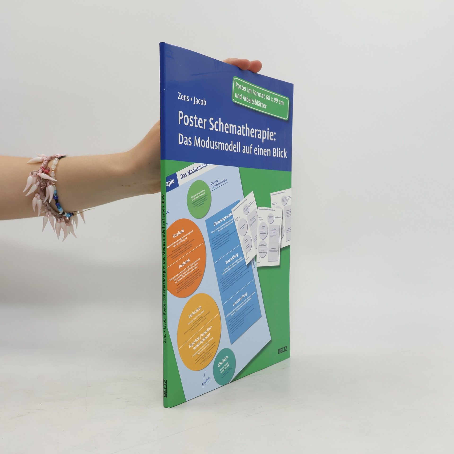 Poster Schematherapie: das Modusmodell auf einen Blick