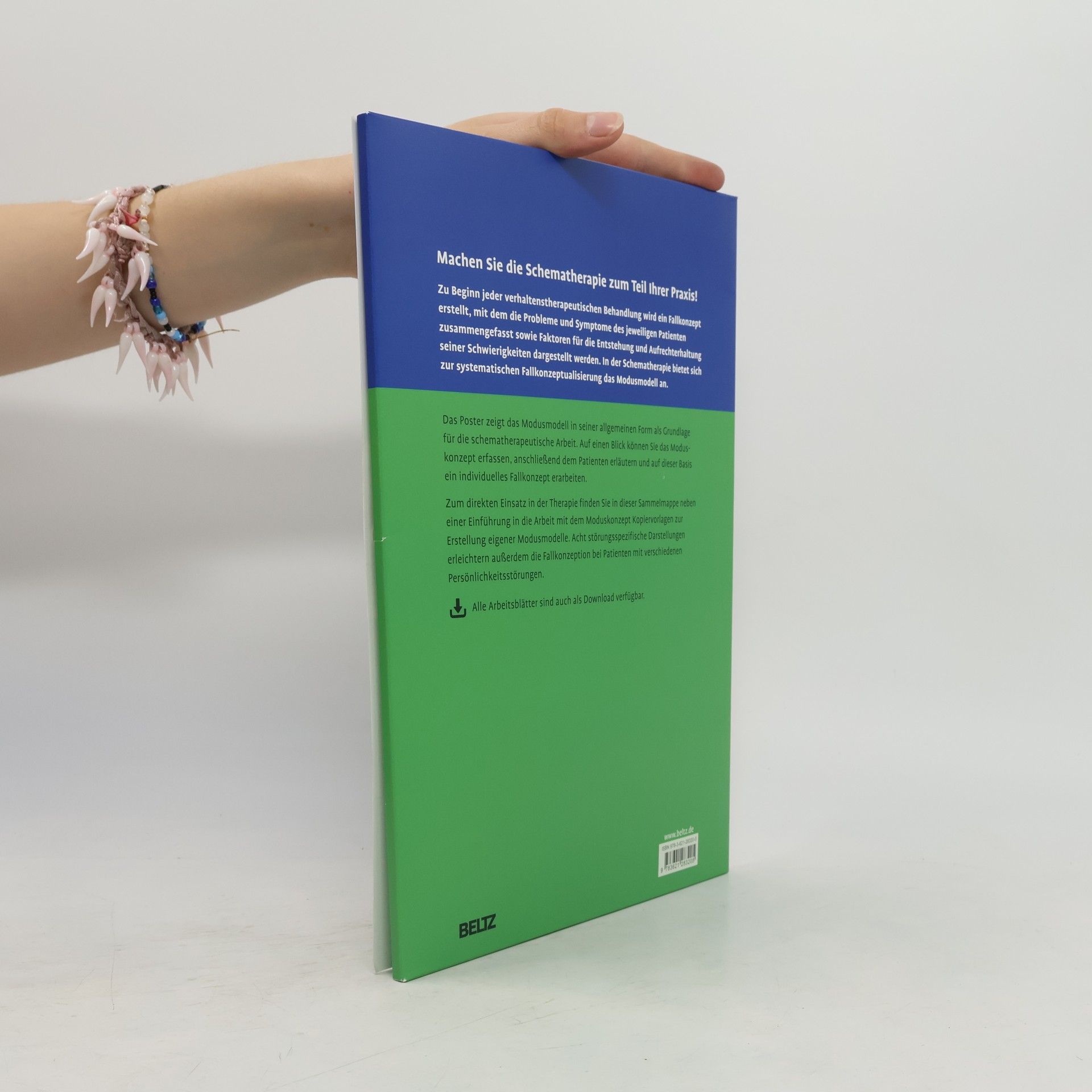 Christine Zens Poster Schematherapie: das Modusmodell auf einen Blick