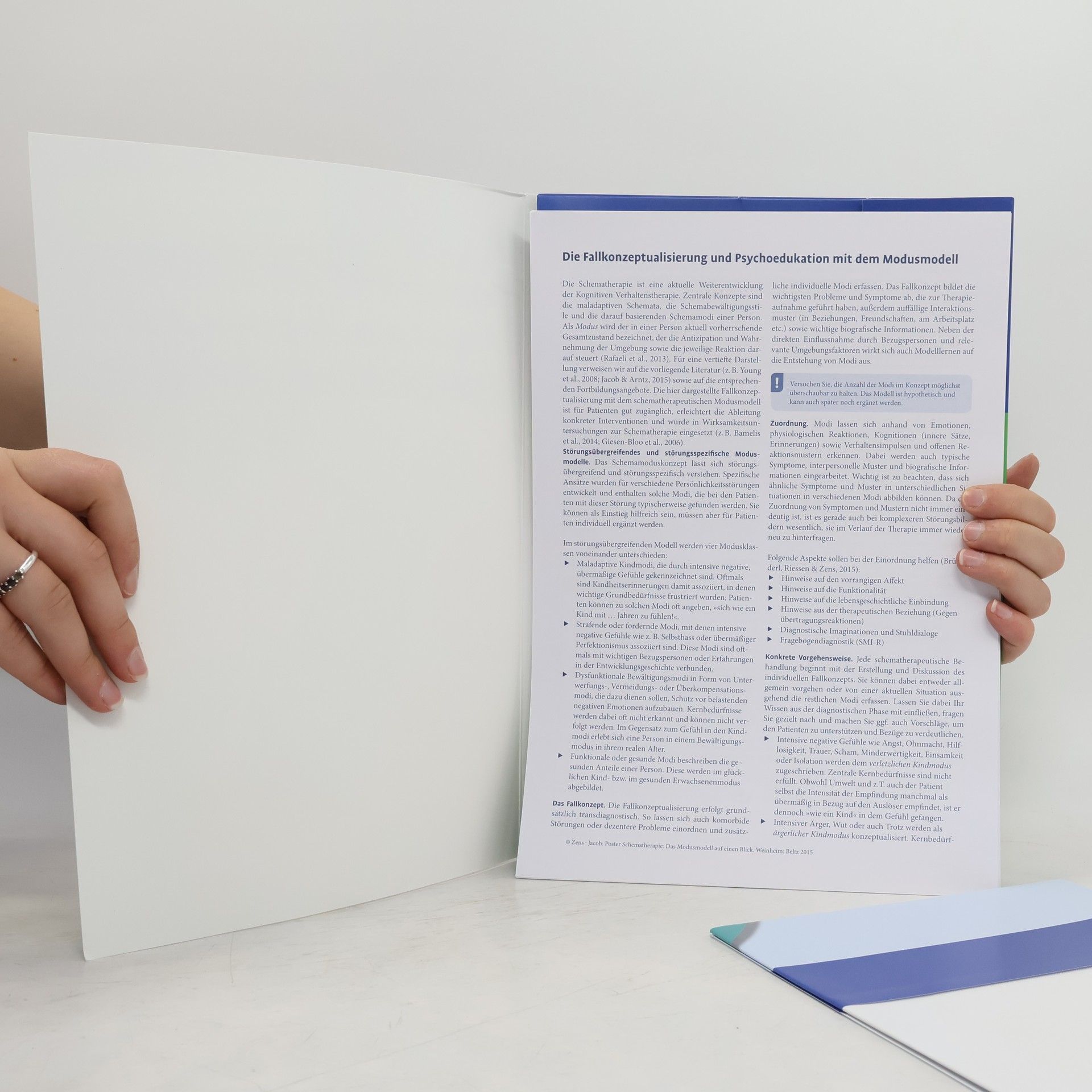 Christine Zens Poster Schematherapie: das Modusmodell auf einen Blick