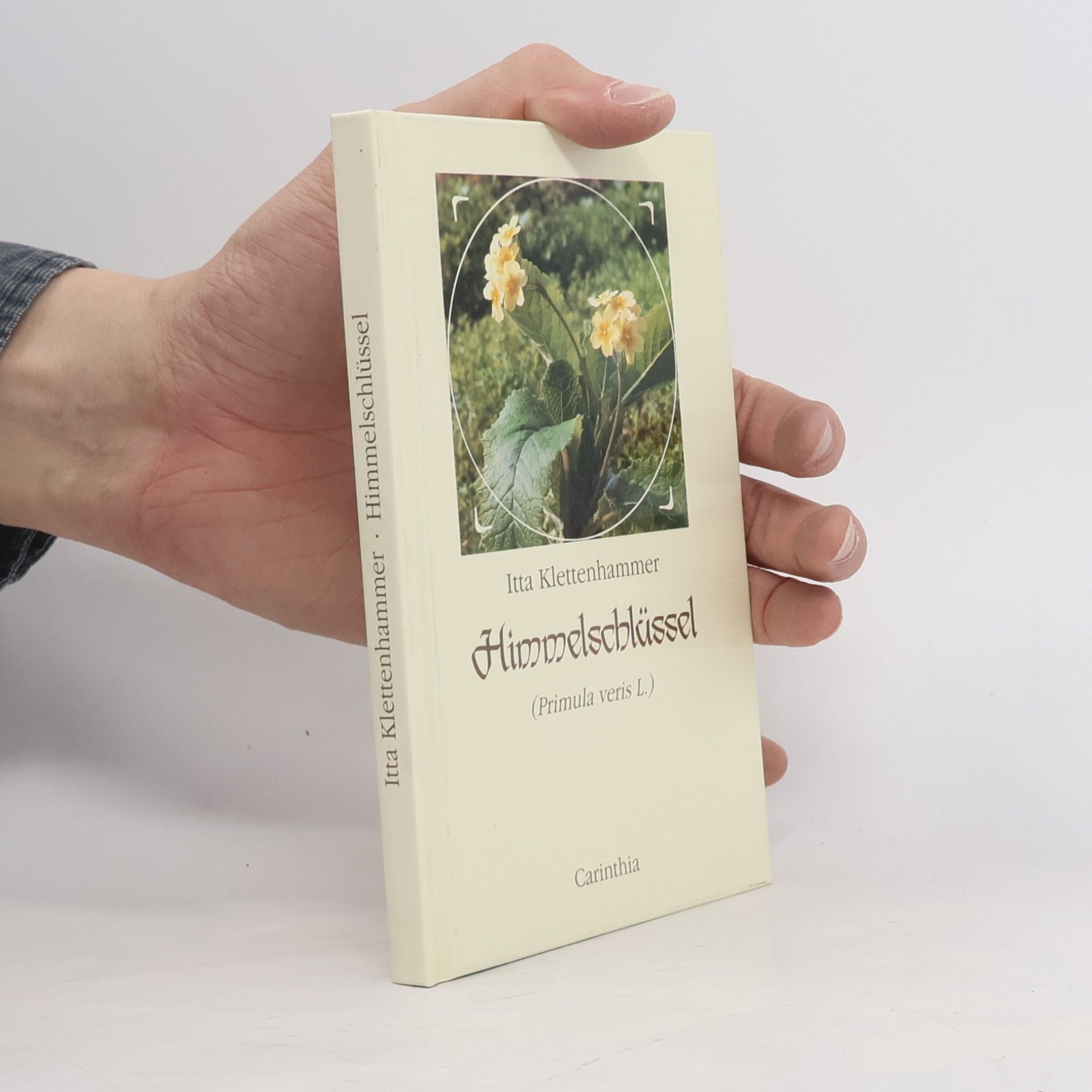 Itta Klettenhammer Himmelschlüssel